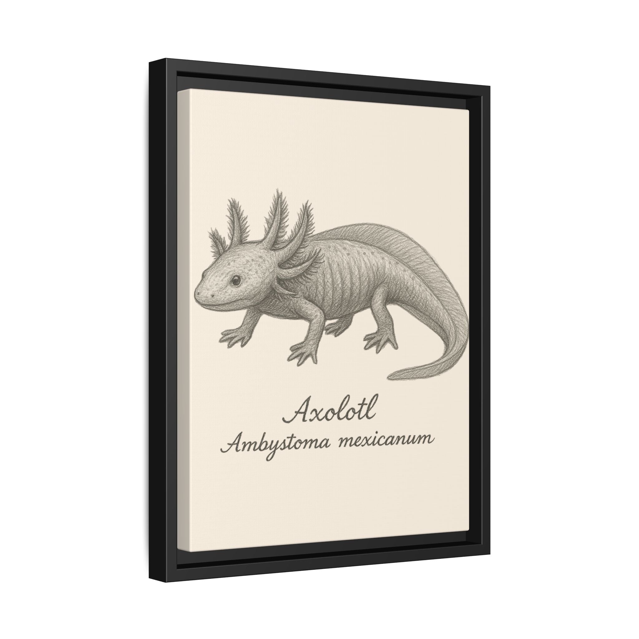 Framed artwork of an axolotl illustration on a beige background