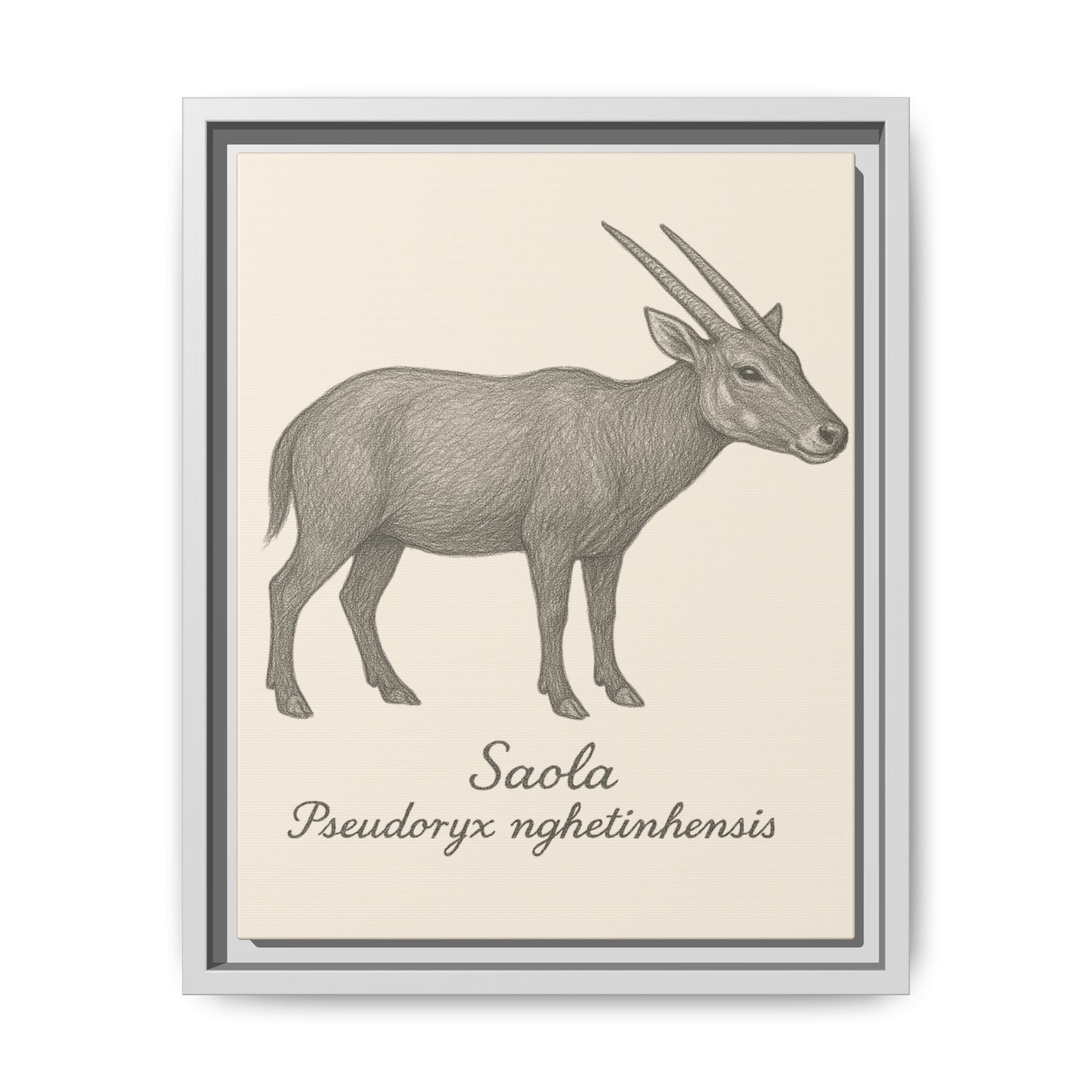 Framed illustration of a saola on a beige background