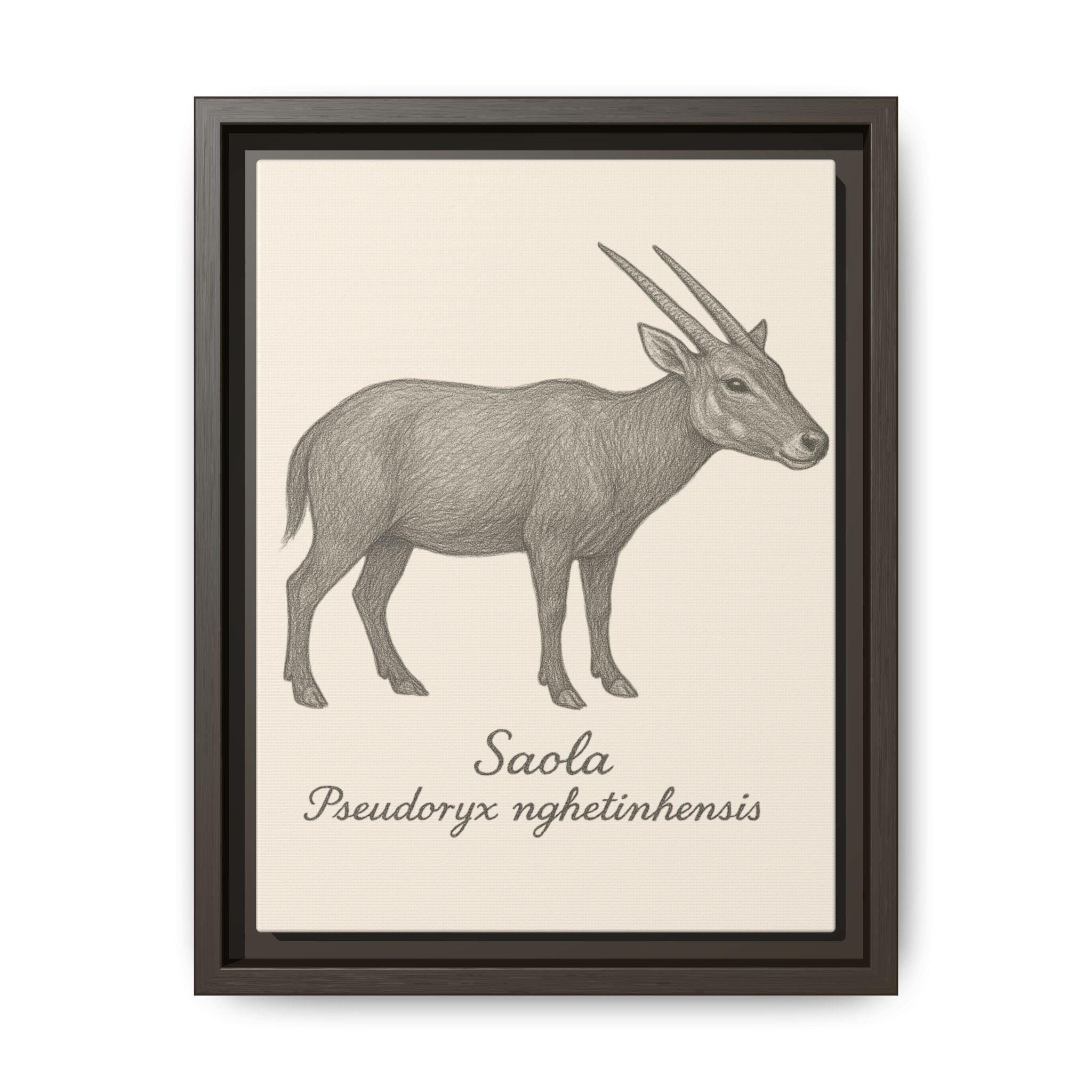 Framed illustration of a saola on a beige background
