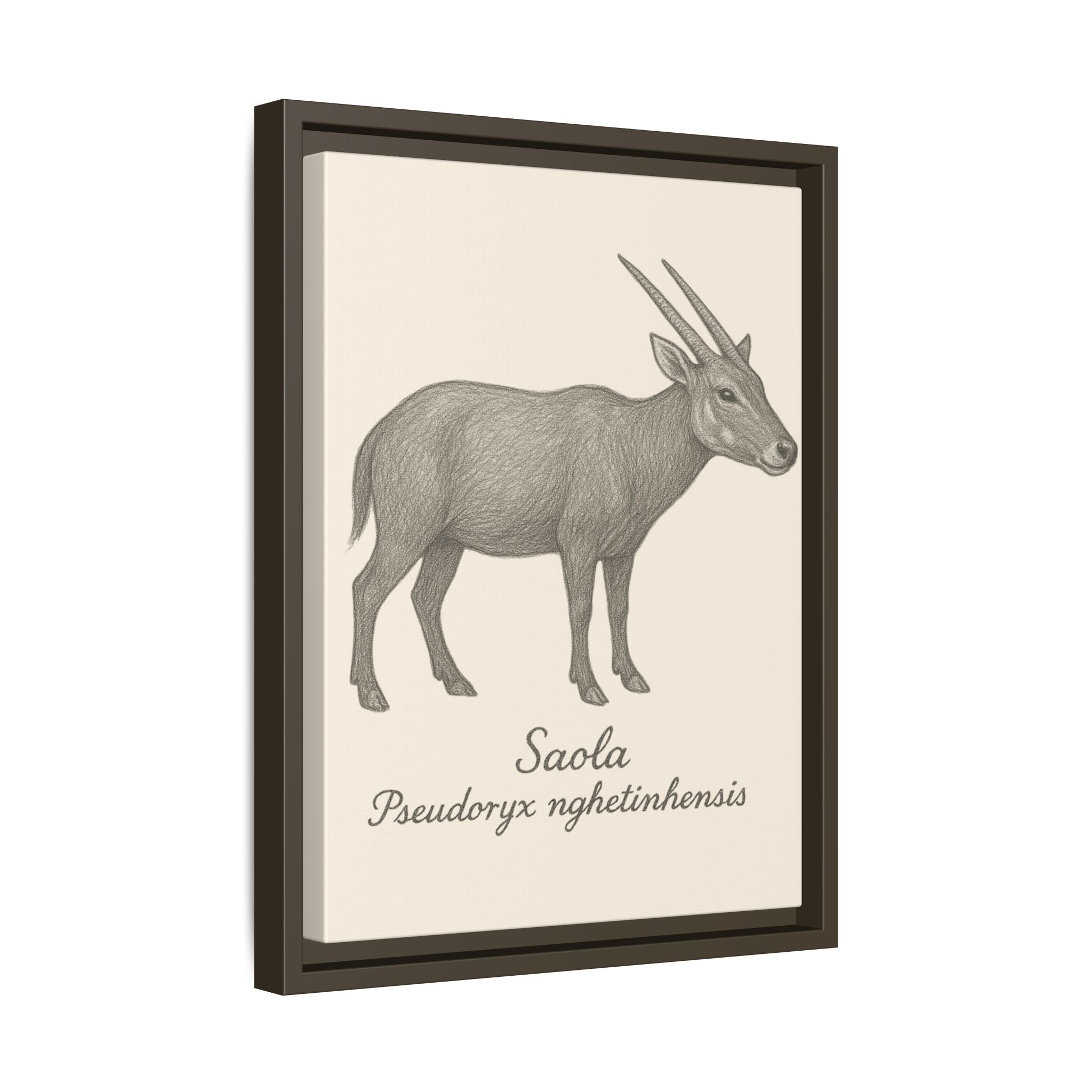 Framed artwork of a saola with scientific name on a beige background