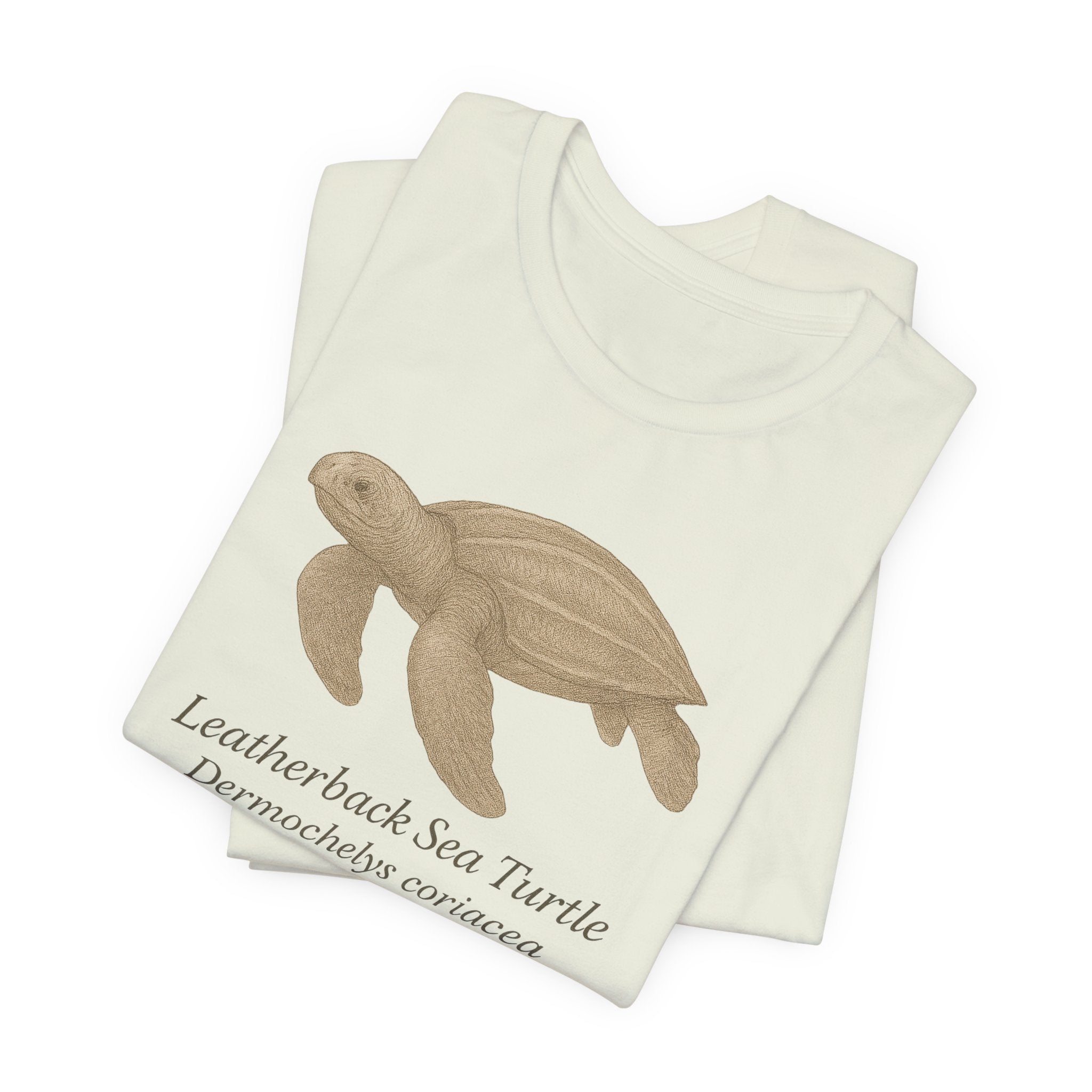 Citron t-shirt with a leatherback sea turtle graphic and text of scientific name on a white background
