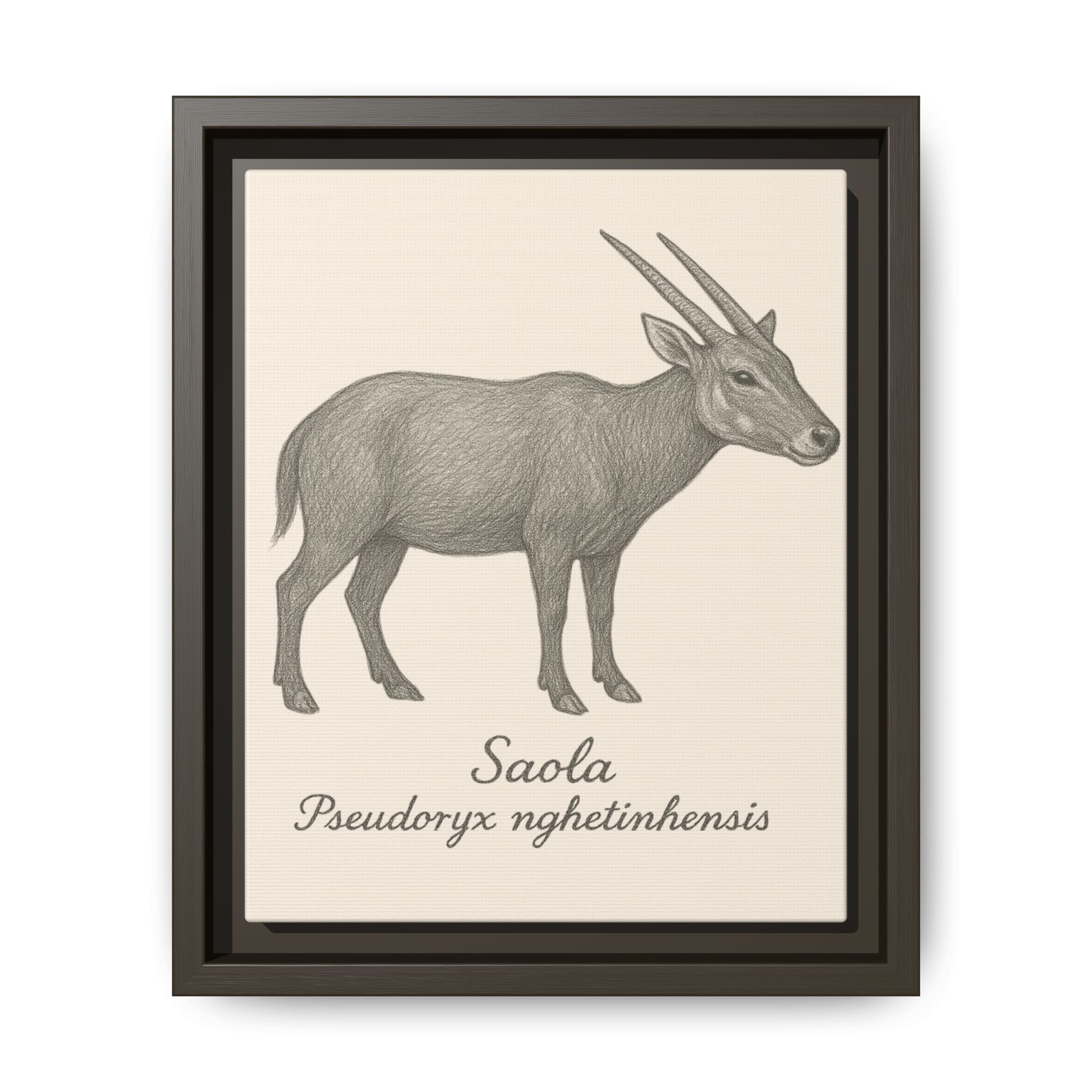 Framed illustration of a saola on a beige background