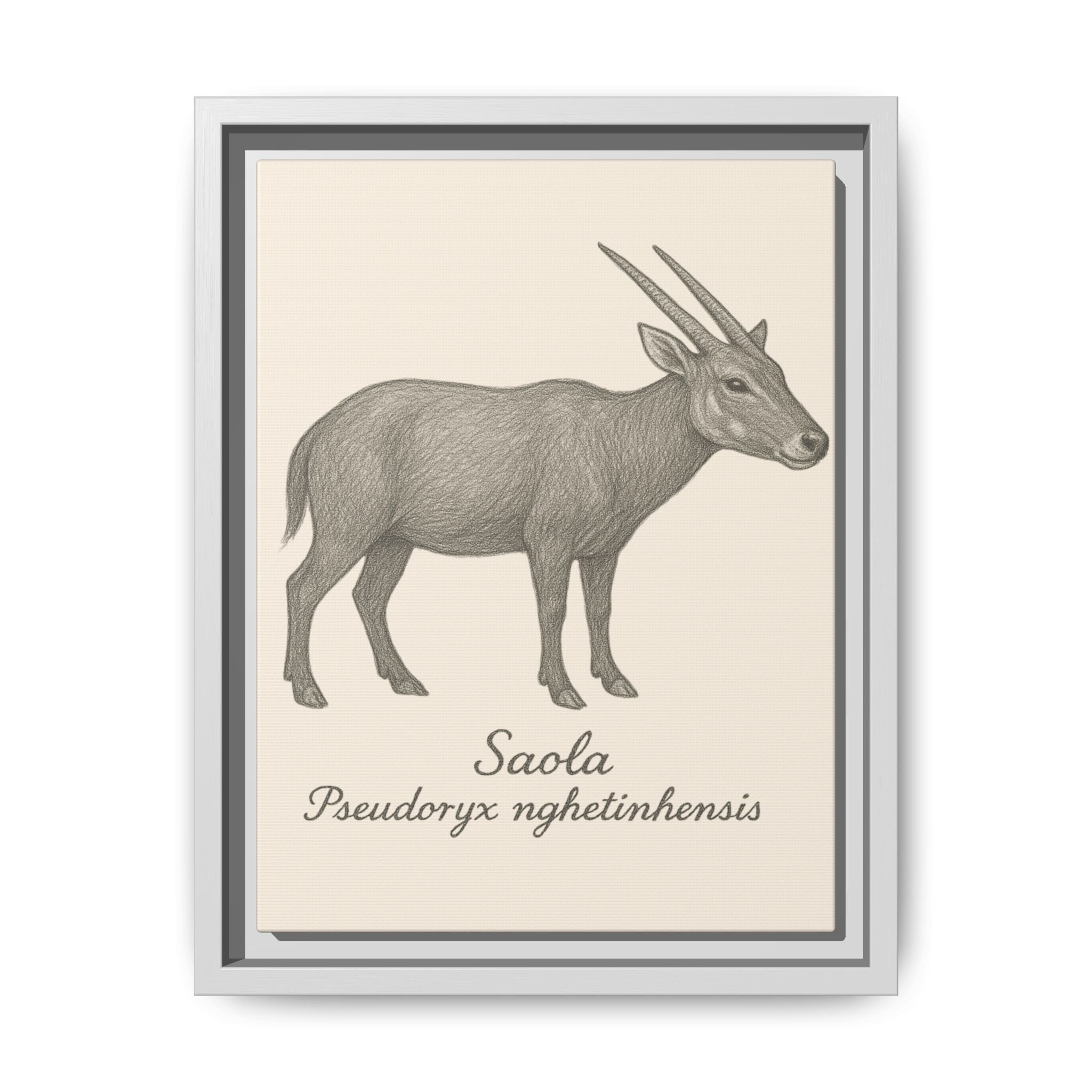 Framed illustration of a Saola on a beige background