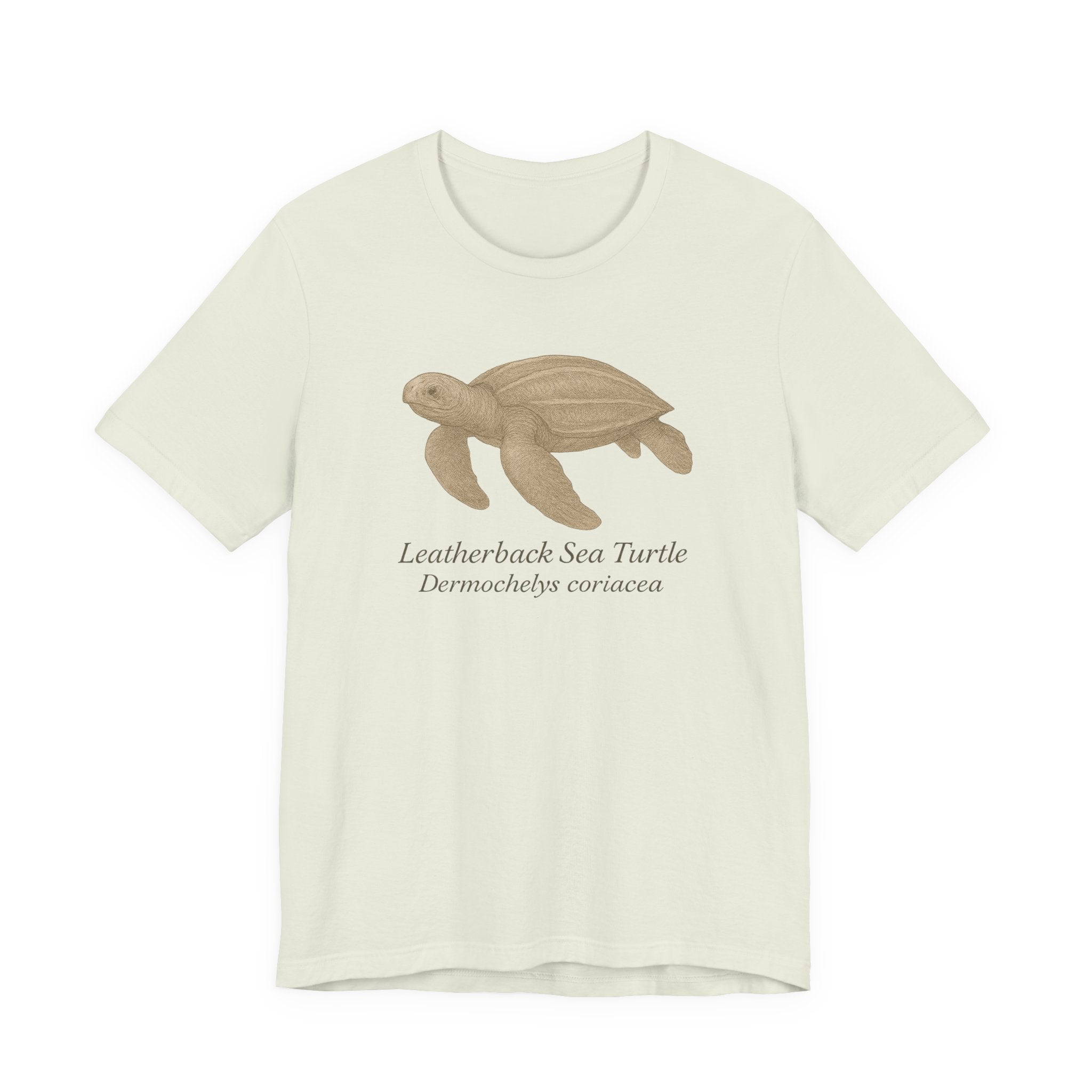 Citron t-shirt with a leatherback sea turtle graphic and text of scientific name on a white background