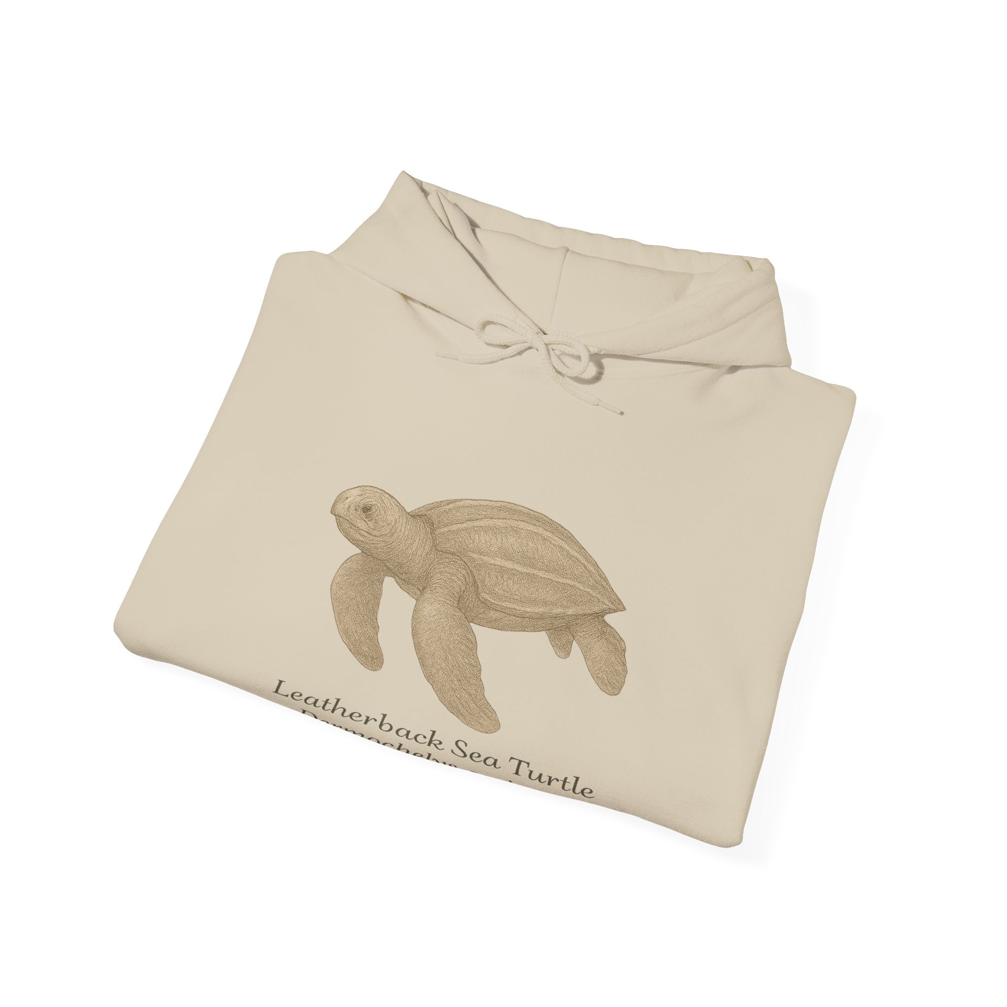 Beige hoodie with a leatherback sea turtle graphic and scientific name by Soon To Be Mythical