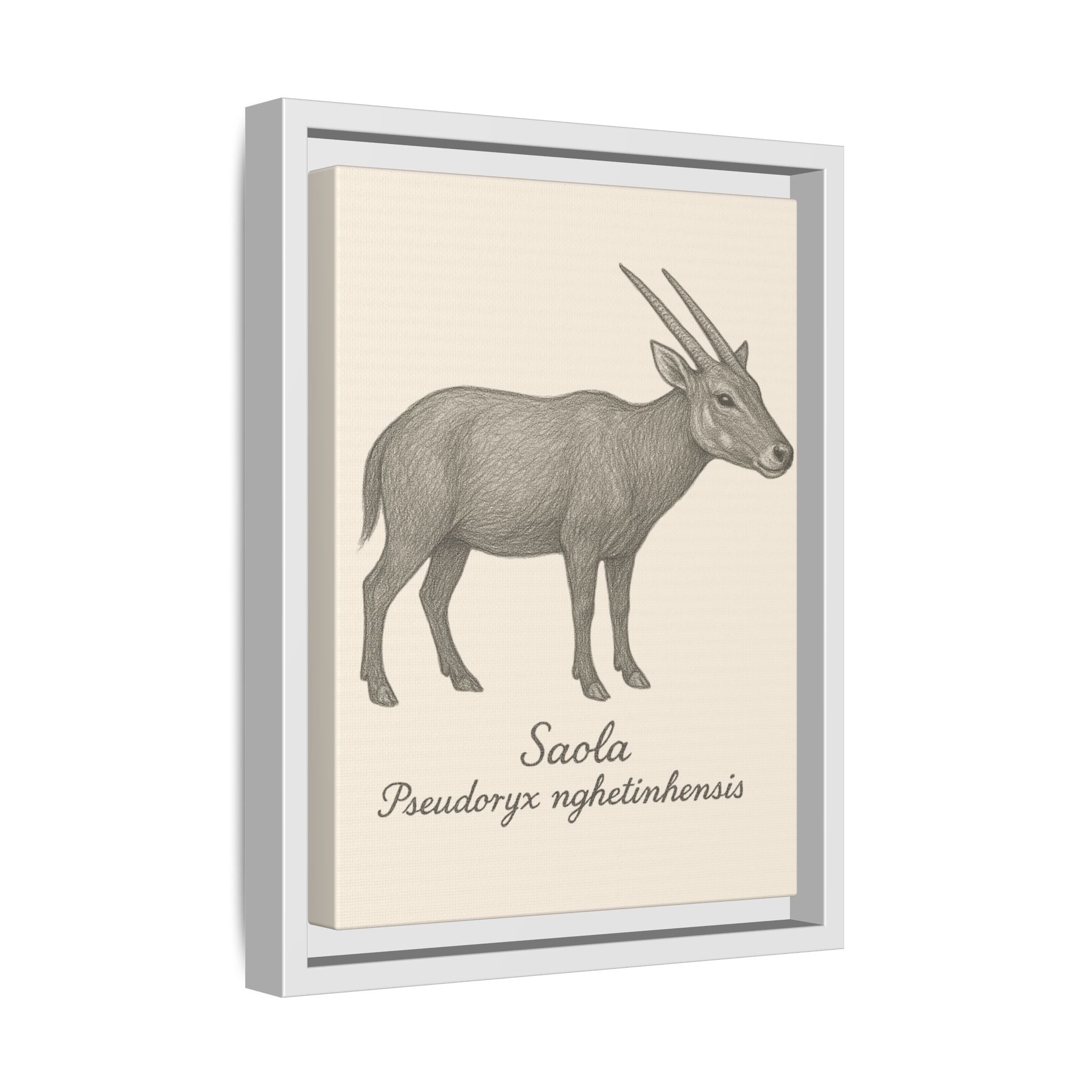 Framed artwork of a saola with scientific name on a beige background