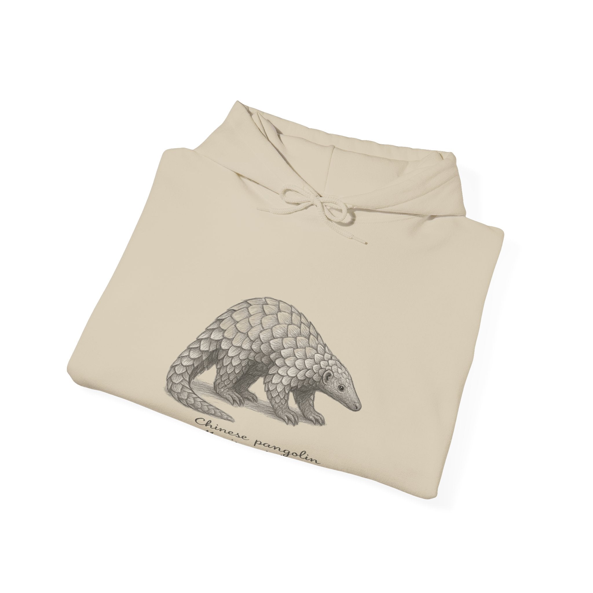 Beige hoodie with a pangolin graphic and scientific name on a white background by Soon To Be Mythical