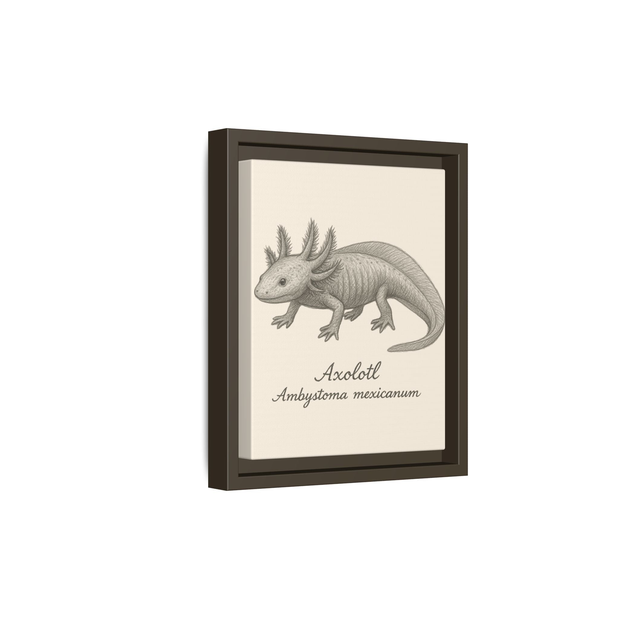 Framed artwork of an axolotl illustration on a white background