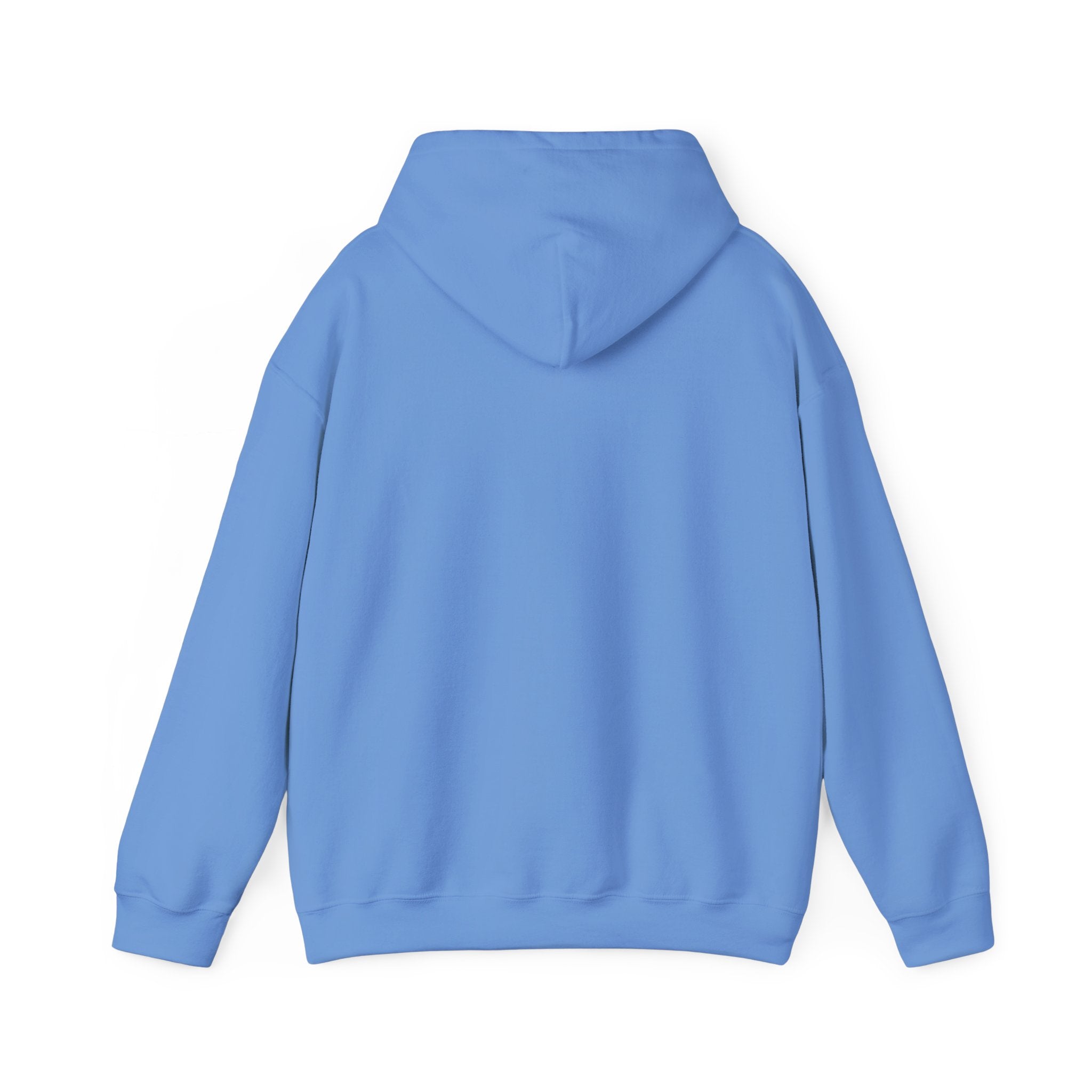 Blue hoodie shown from the back on a white background