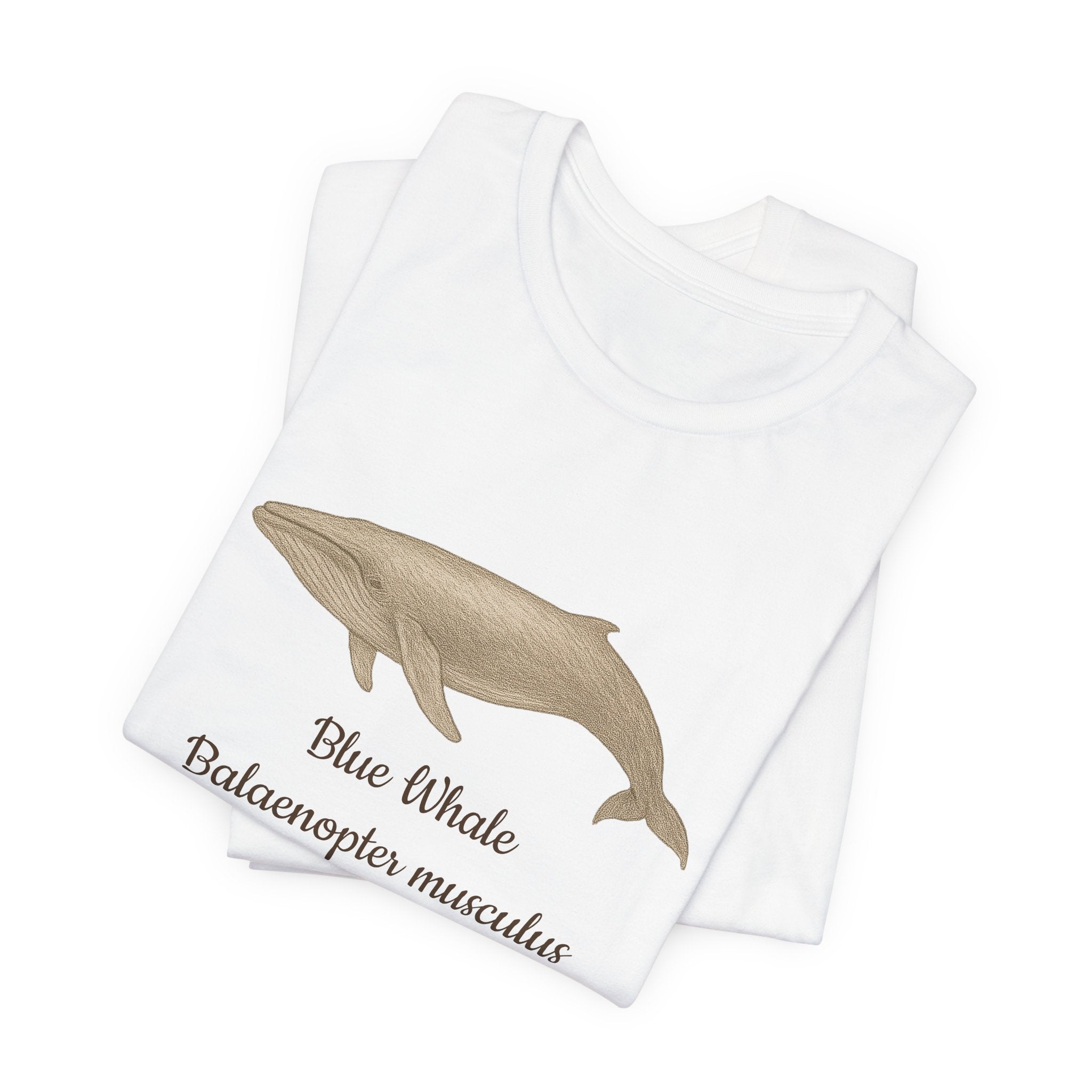 Folded white t-shirt with a blue whale illustration and text on a white background