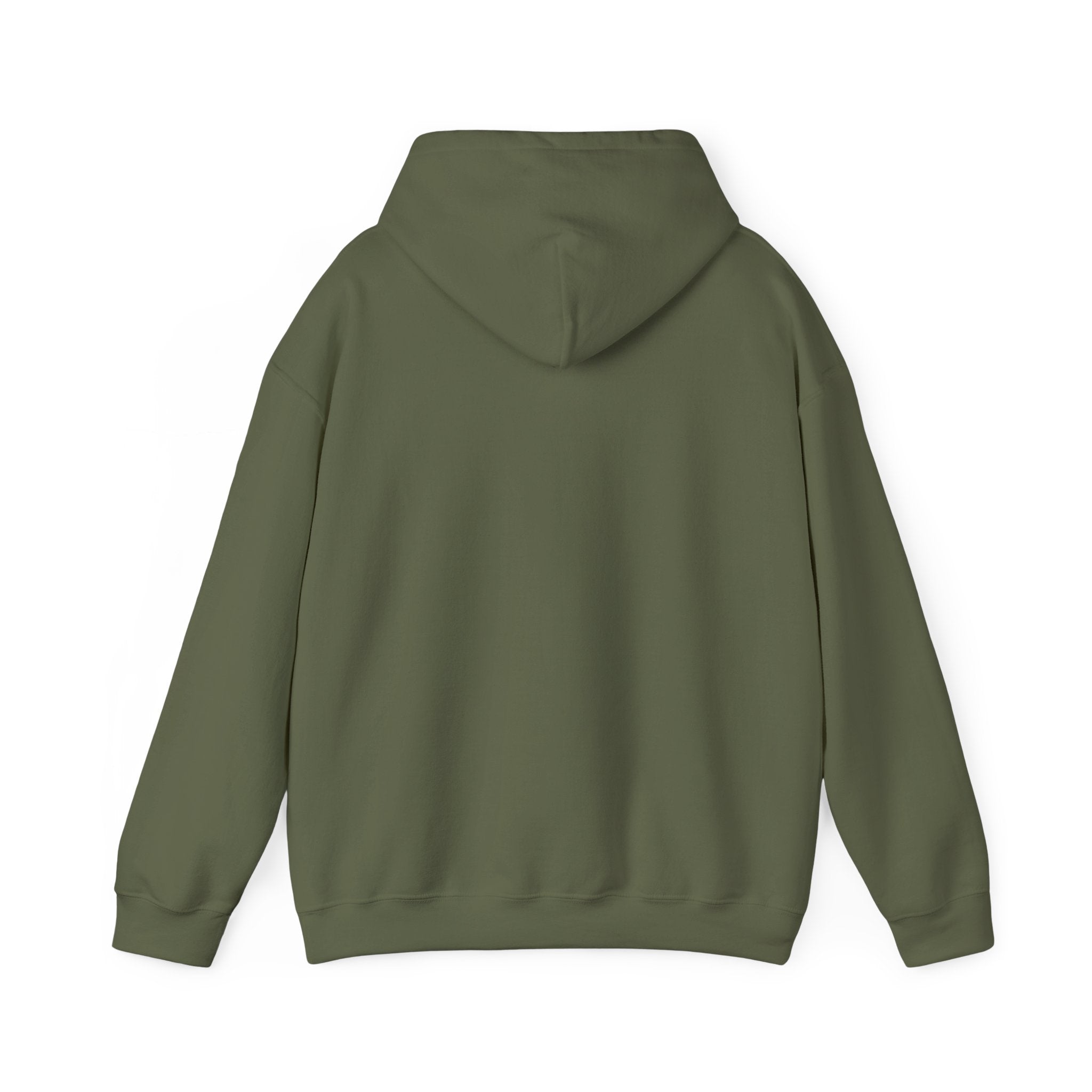 Green hoodie shown from the back on a white background