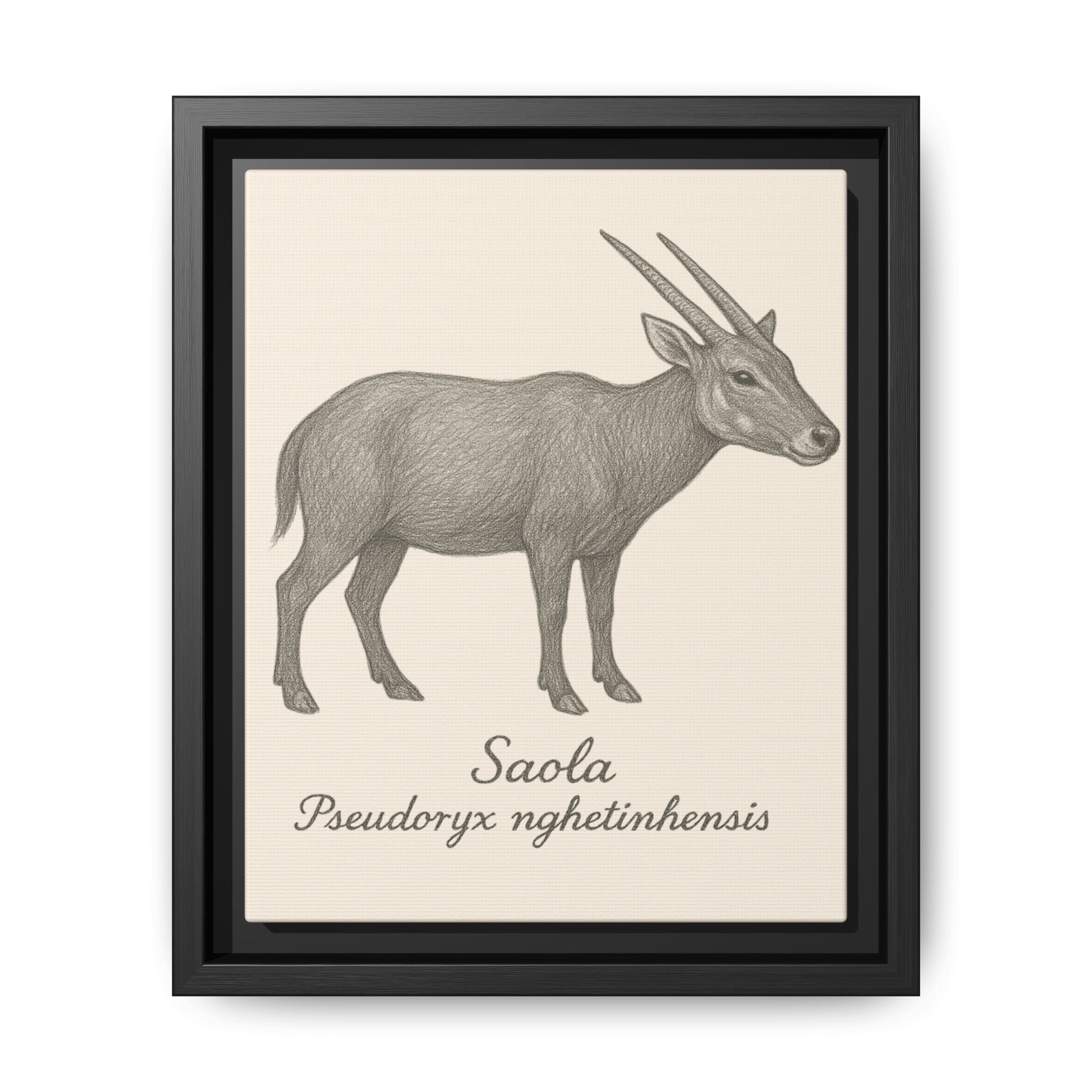 Framed illustration of a saola on a beige background