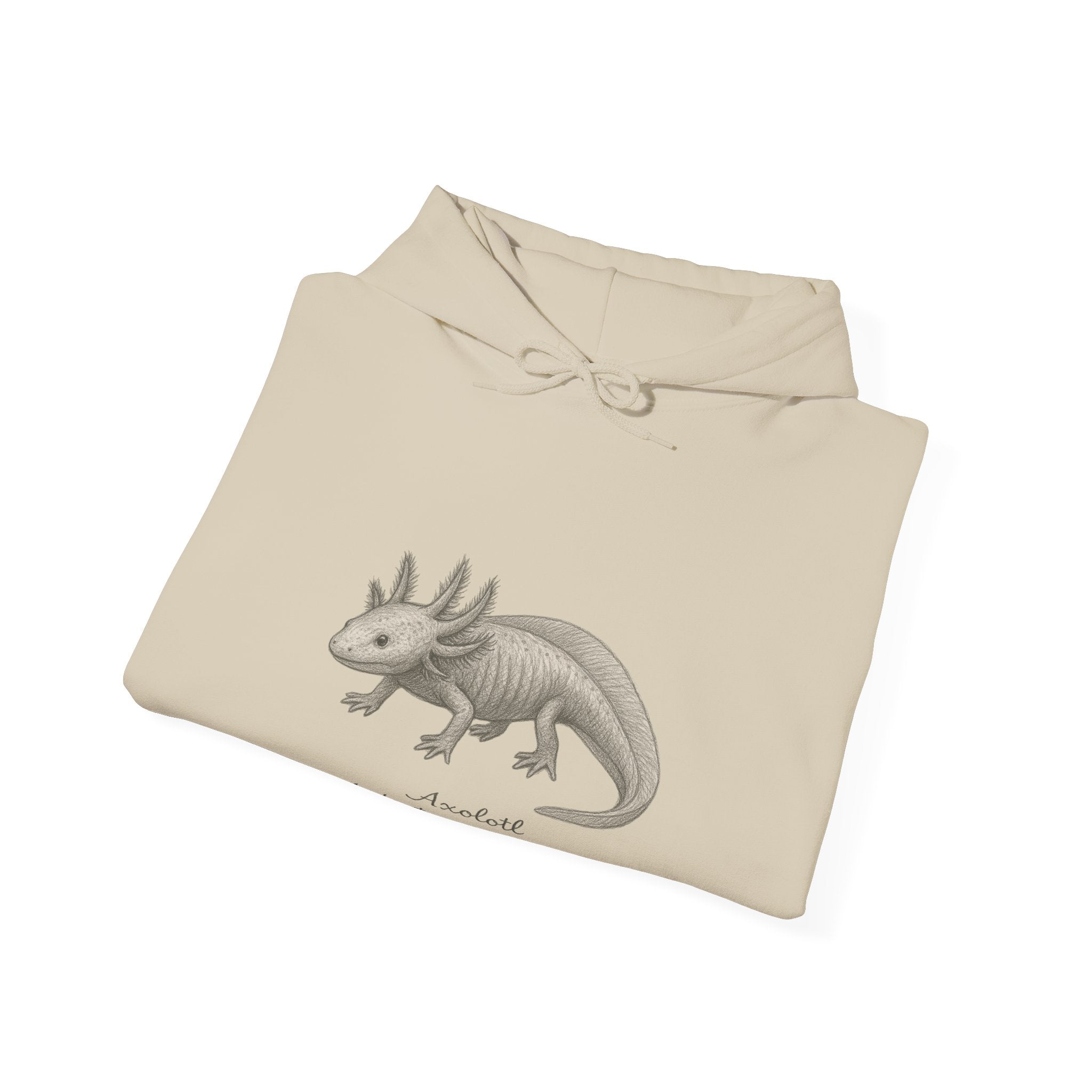 Folded beige hoodie with axolotl graphic and scientific name by Soon To Be Mythical