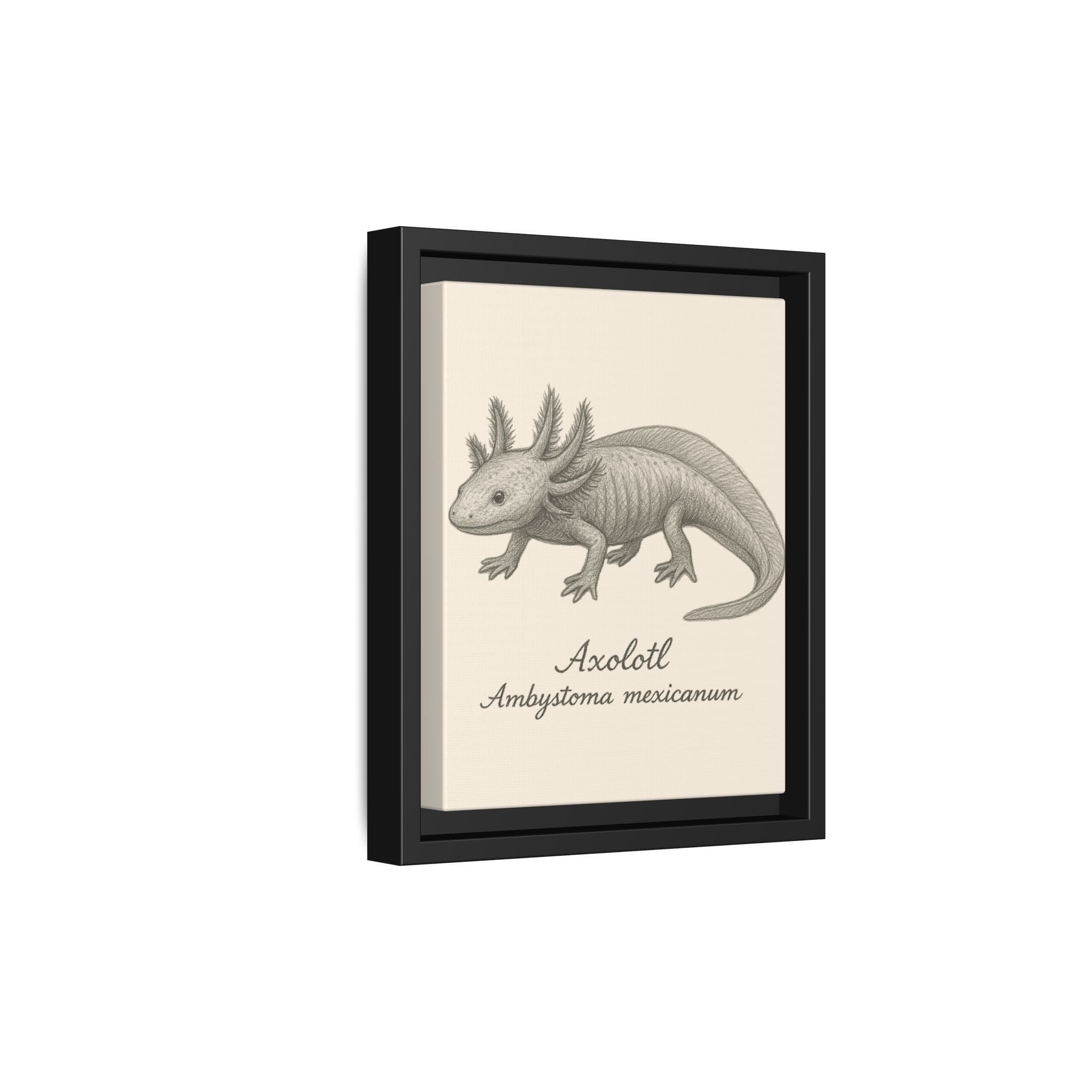 Framed artwork of an axolotl illustration on a beige background