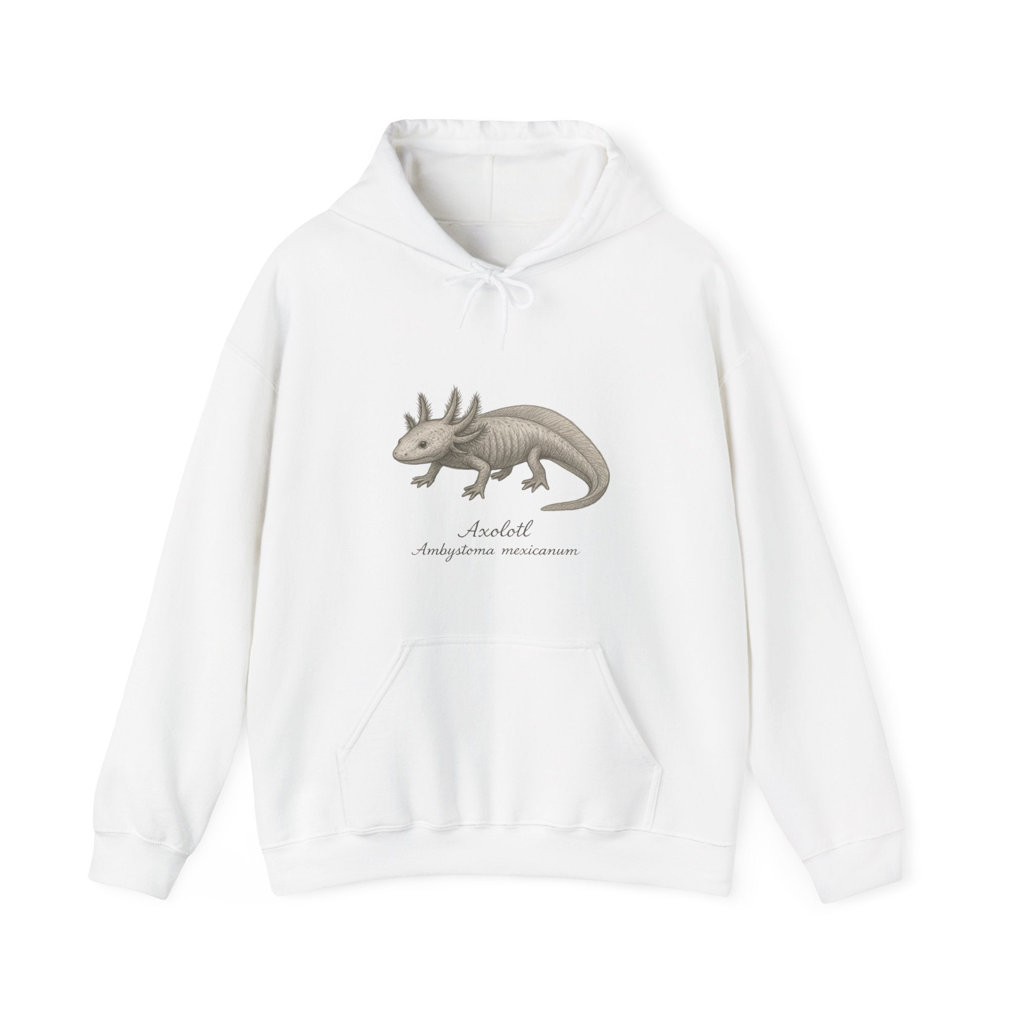 White hoodie with axolotl graphic and scientific name by Soon To Be Mythical