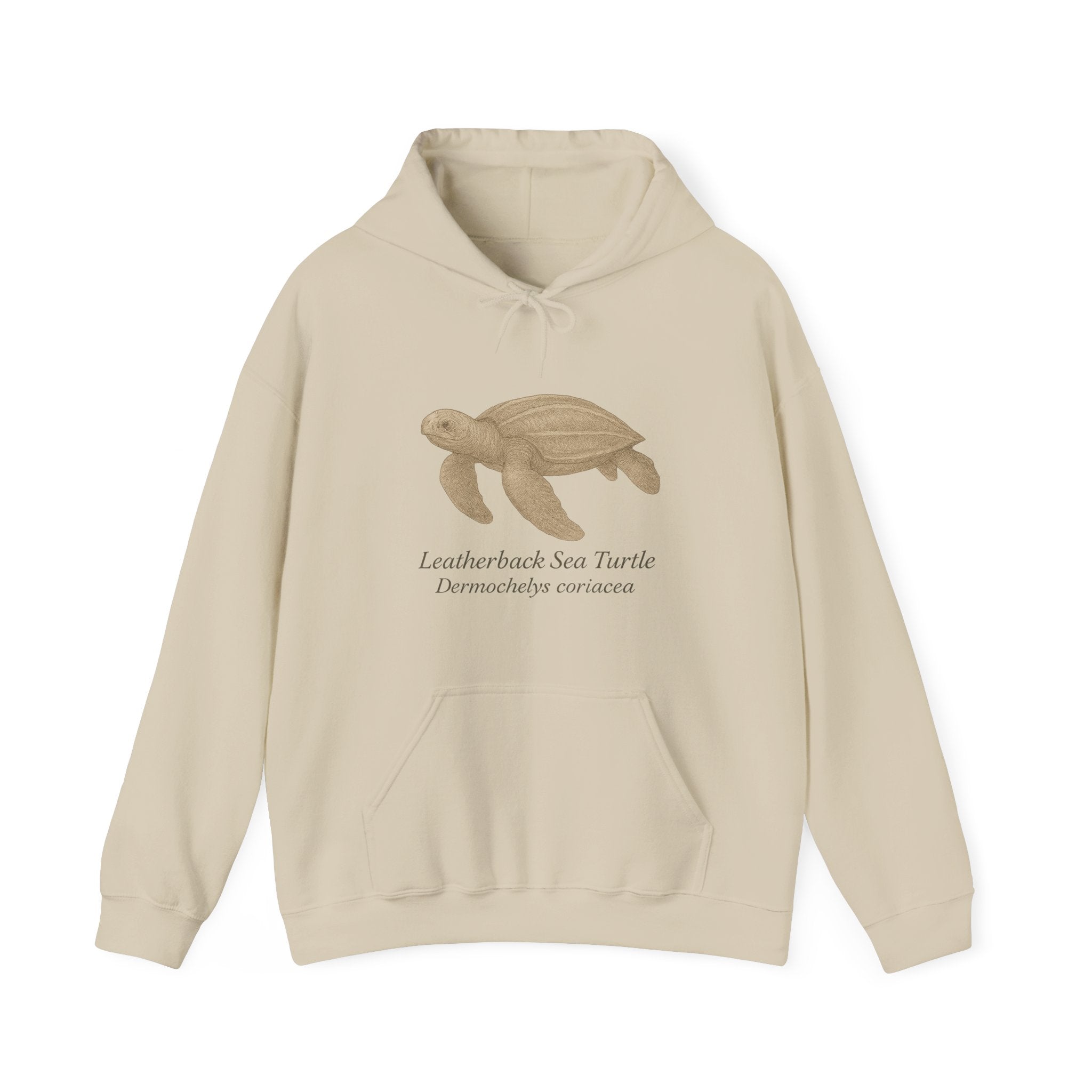 Beige hoodie with a leatherback sea turtle graphic and scientific name by Soon To Be Mythical