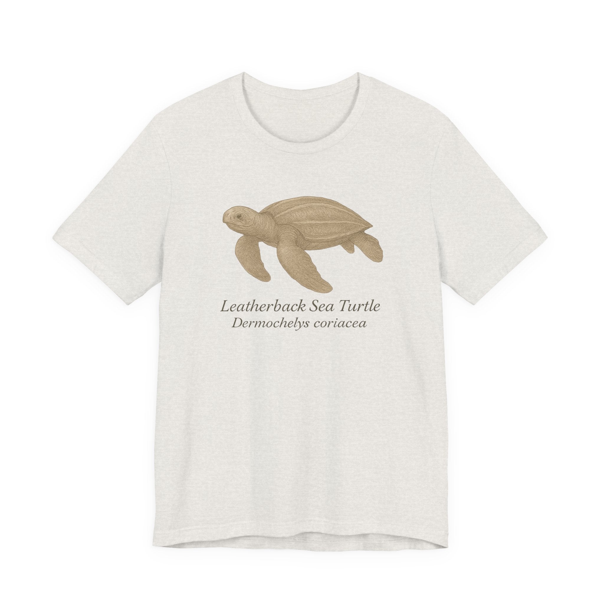 Heather cement t-shirt with a leatherback sea turtle graphic and text of scientific name on a white background