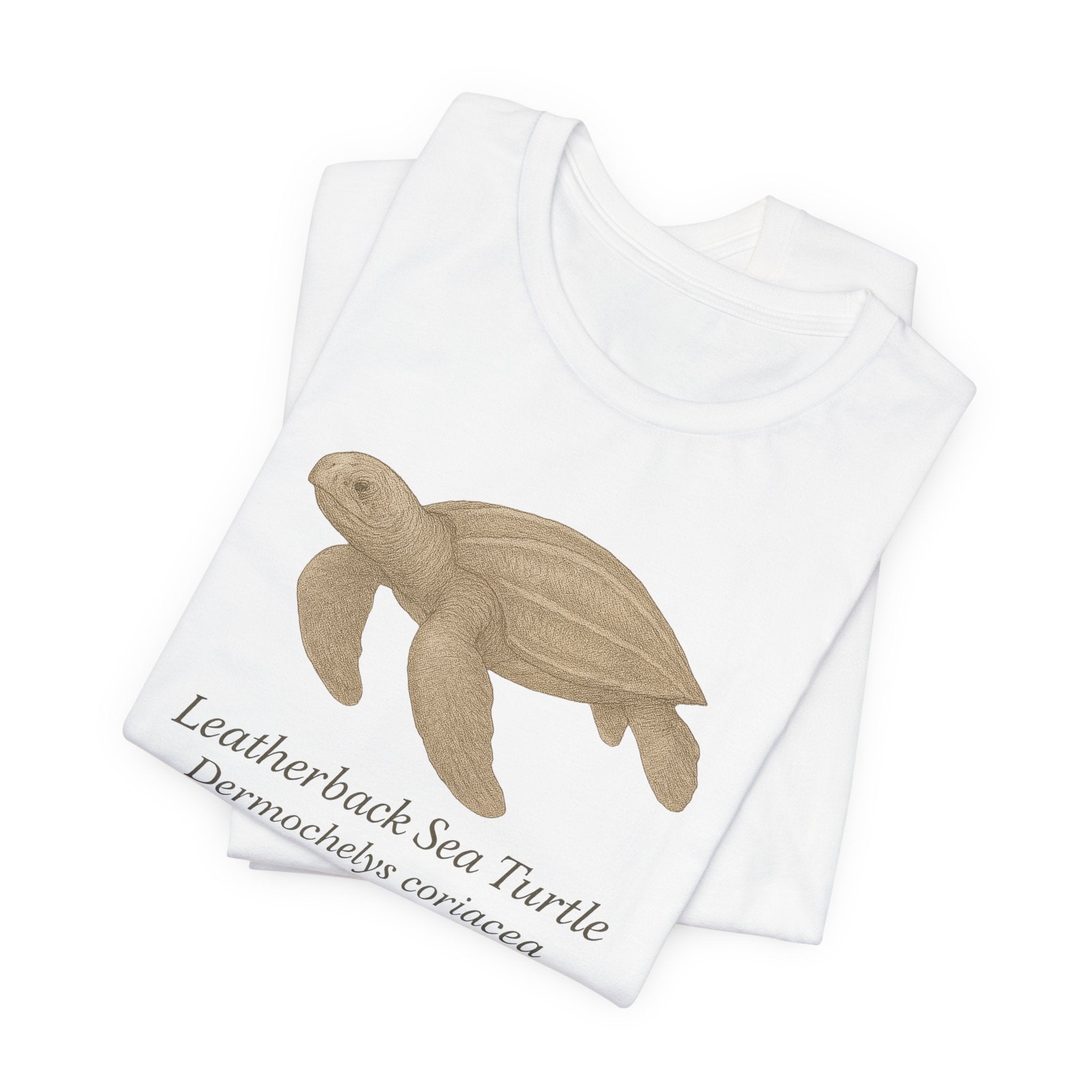 White t-shirt with a leatherback sea turtle graphic and text of scientific name on a white background