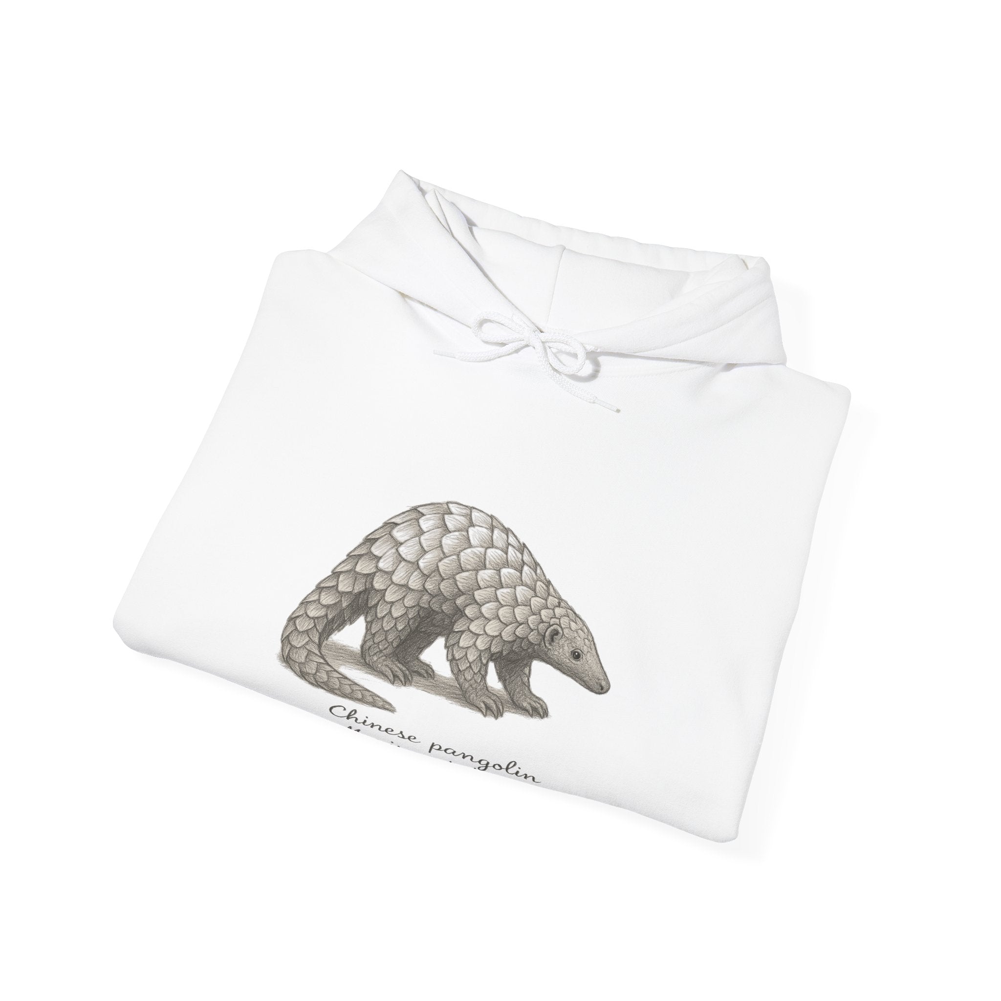 Folded white hoodie with a pangolin graphic and scientific name on a white background by Soon To Be Mythical