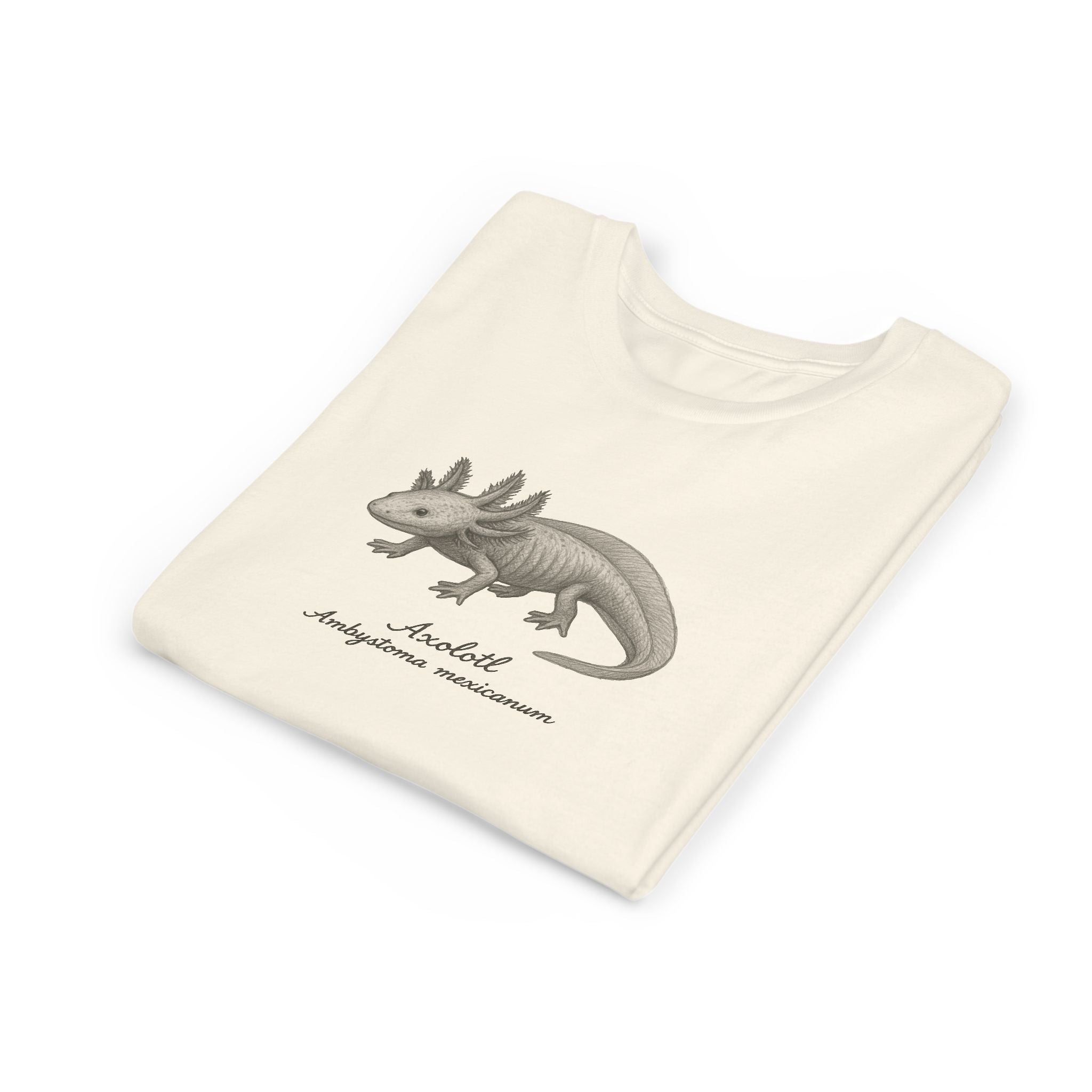 Folded beige kids t-shirt with a axolotl illustration and its scientific name on a white background