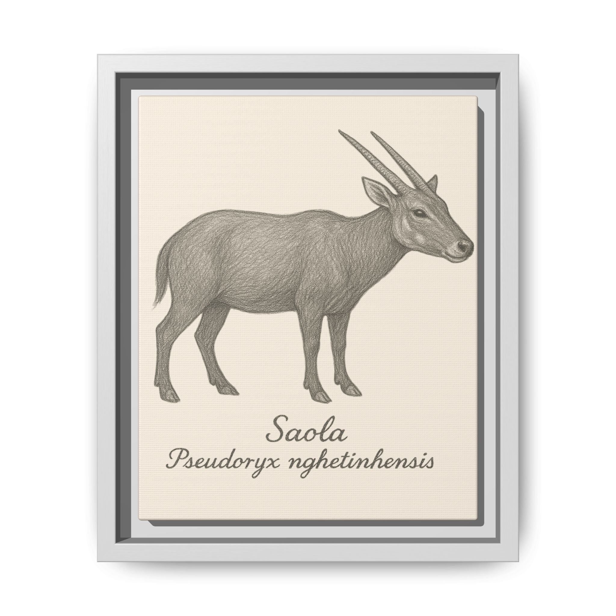 Framed illustration of a saola on a beige background