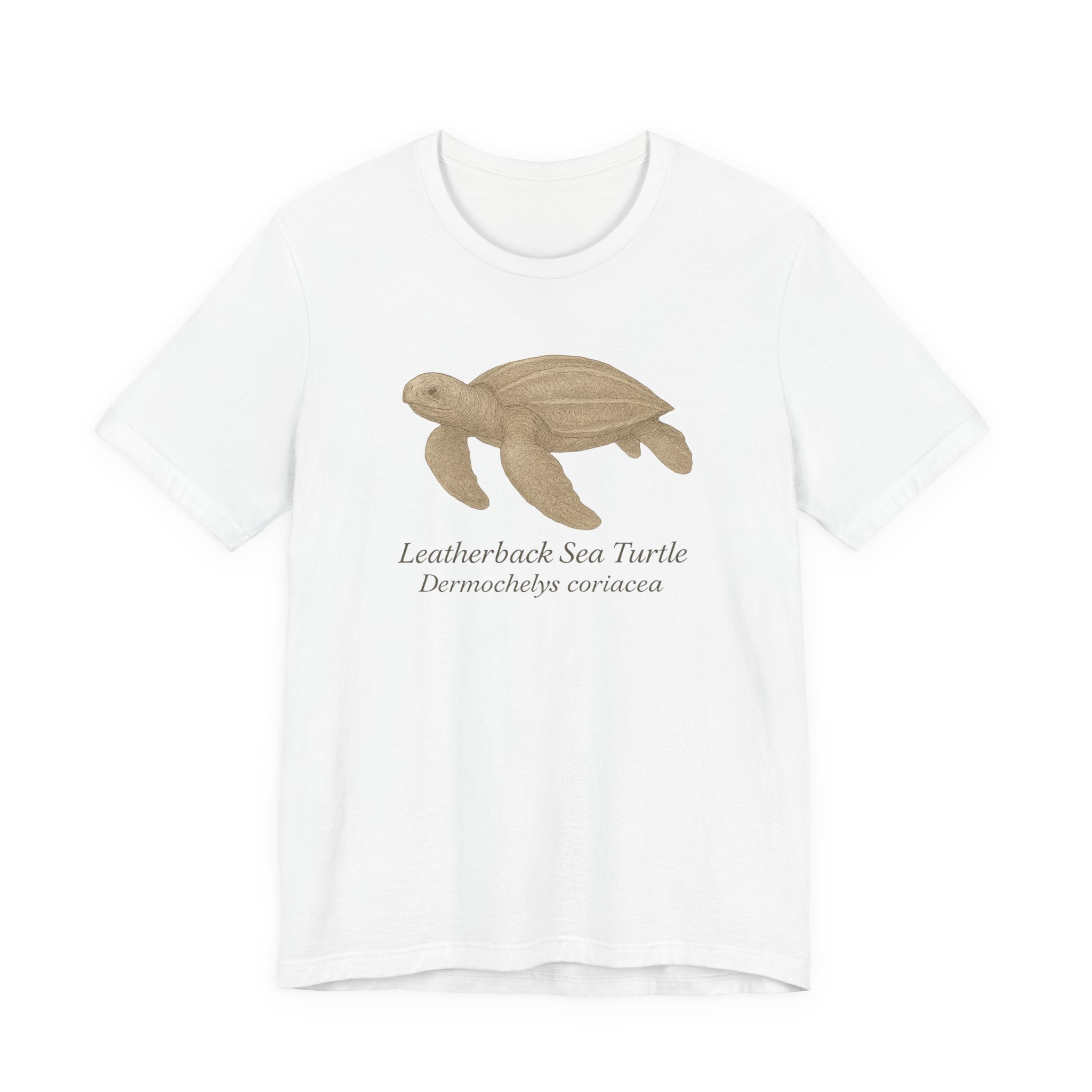 White t-shirt with a leatherback sea turtle graphic and text of scientific name on a white background