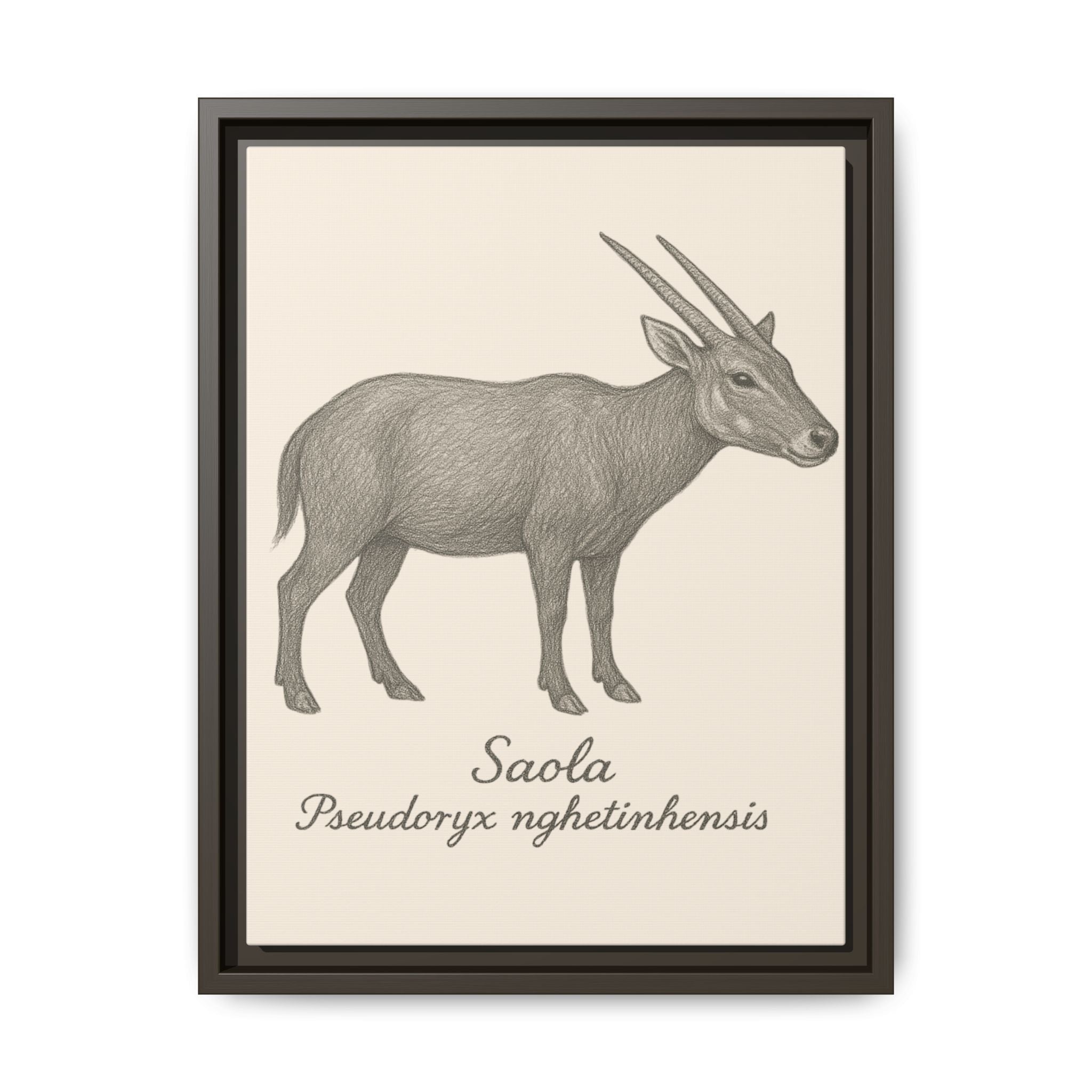 Framed illustration of a saola on a beige background