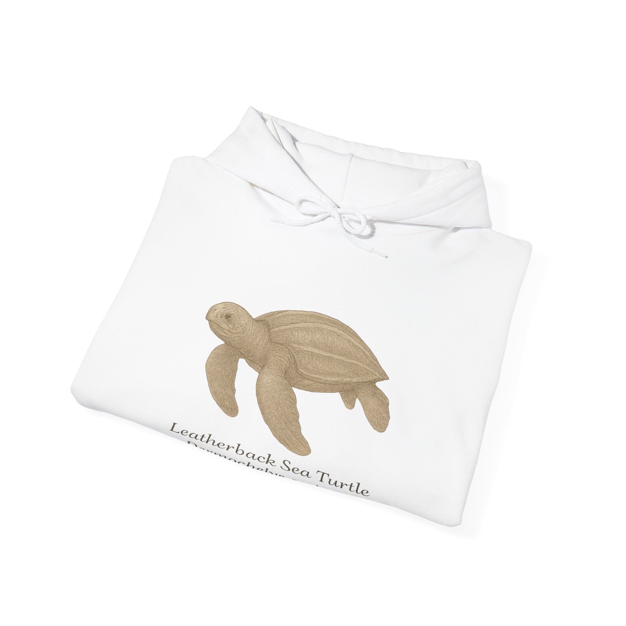 Folded white hoodie with a leatherback sea turtle graphic and scientific name by Soon To Be Mythical
