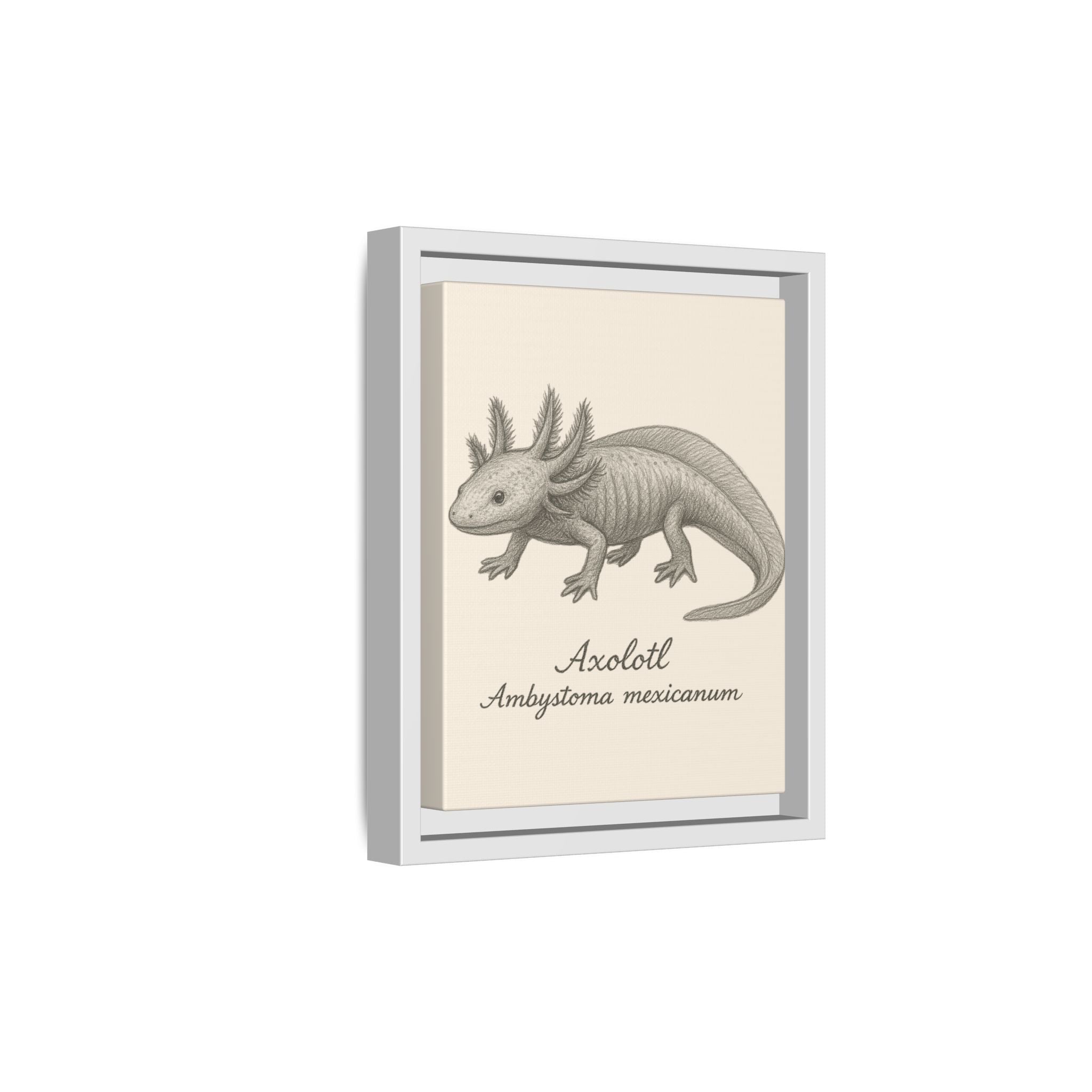 Framed illustration of an axolotl on a beige background