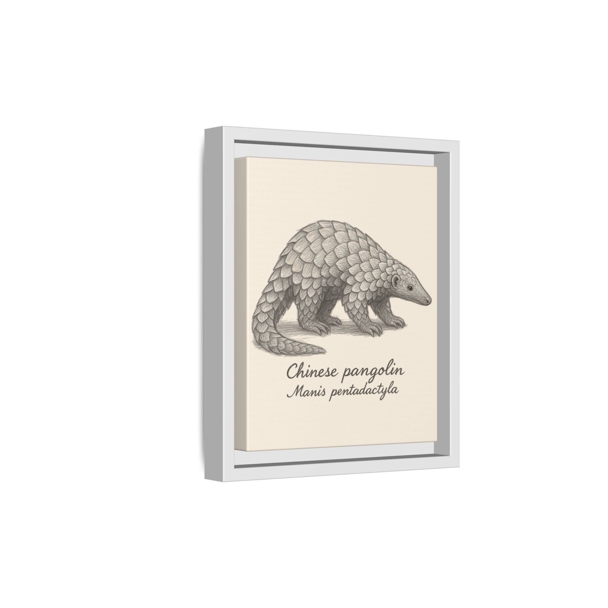 Framed artwork of a Chinese pangolin on a beige background