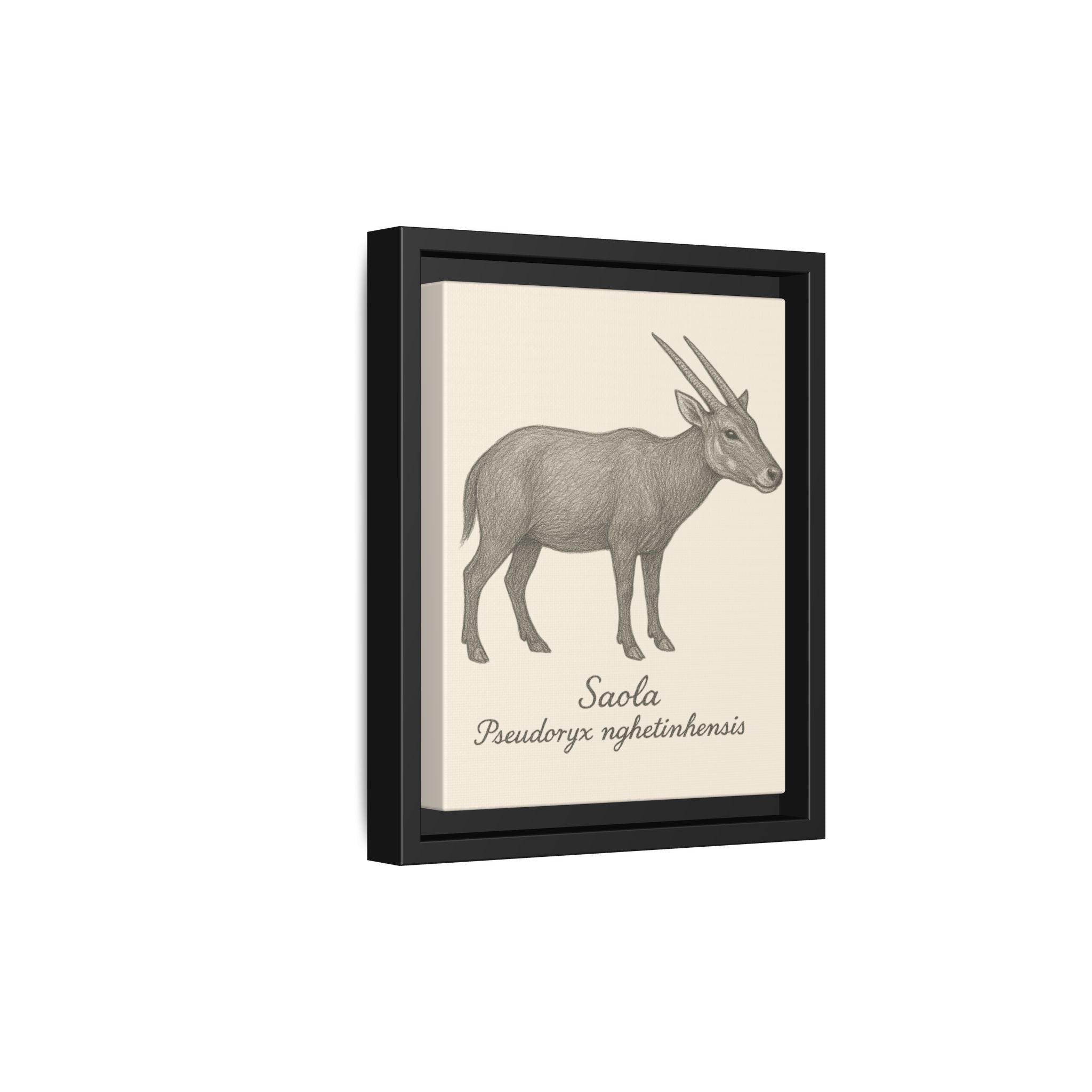 Framed artwork of a Saola on a beige background
