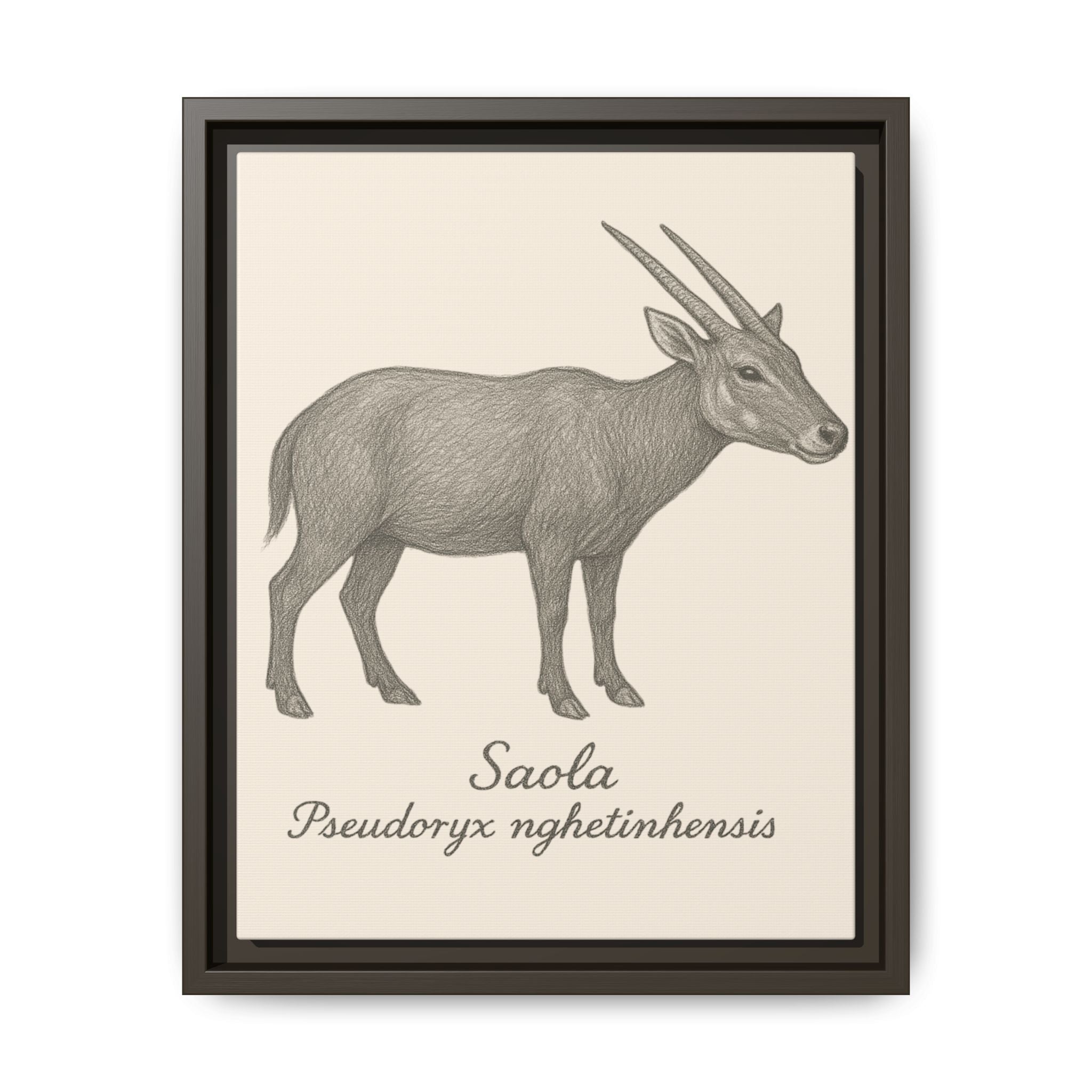 Framed illustration of a saola on a beige background
