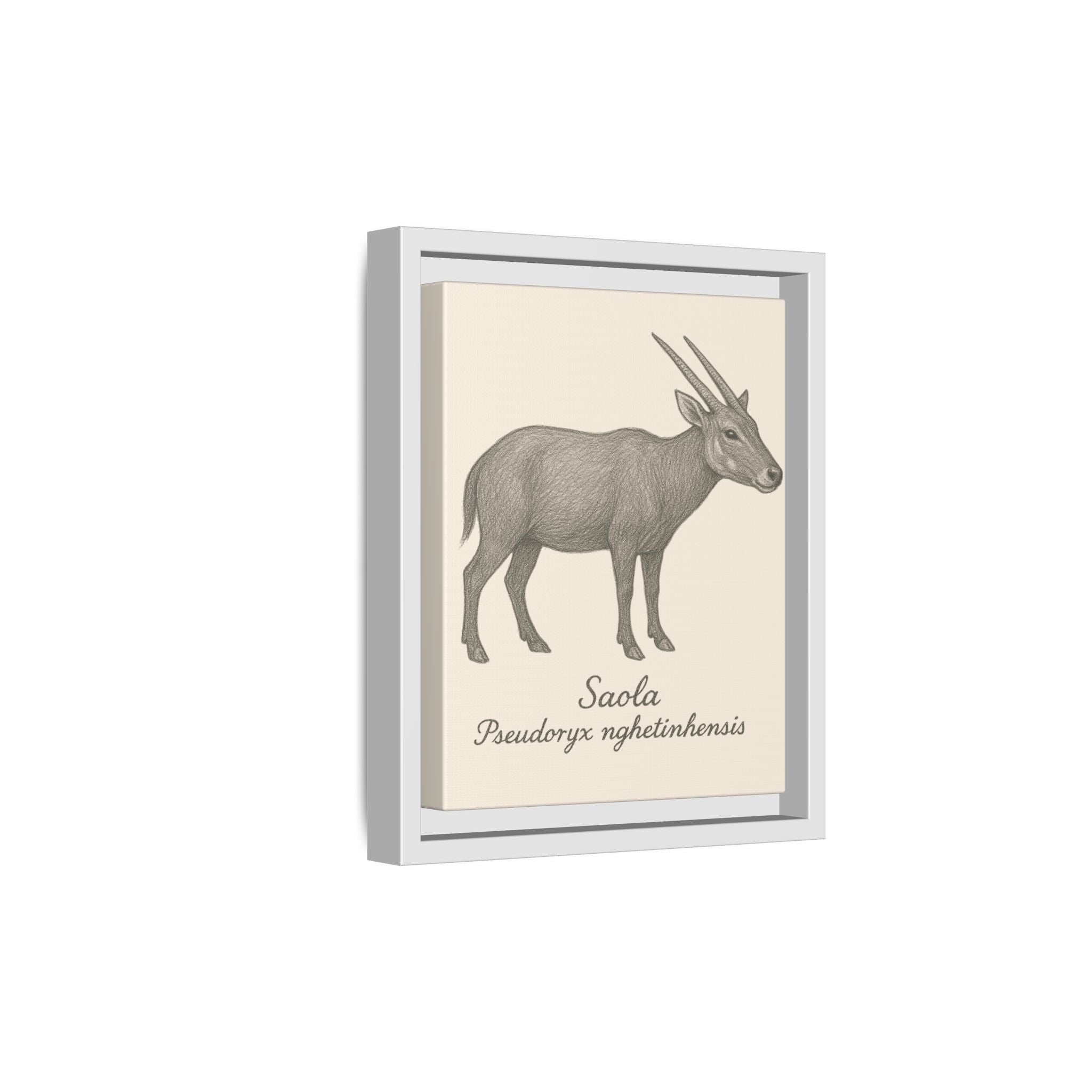 Framed artwork of a Saola on a beige background