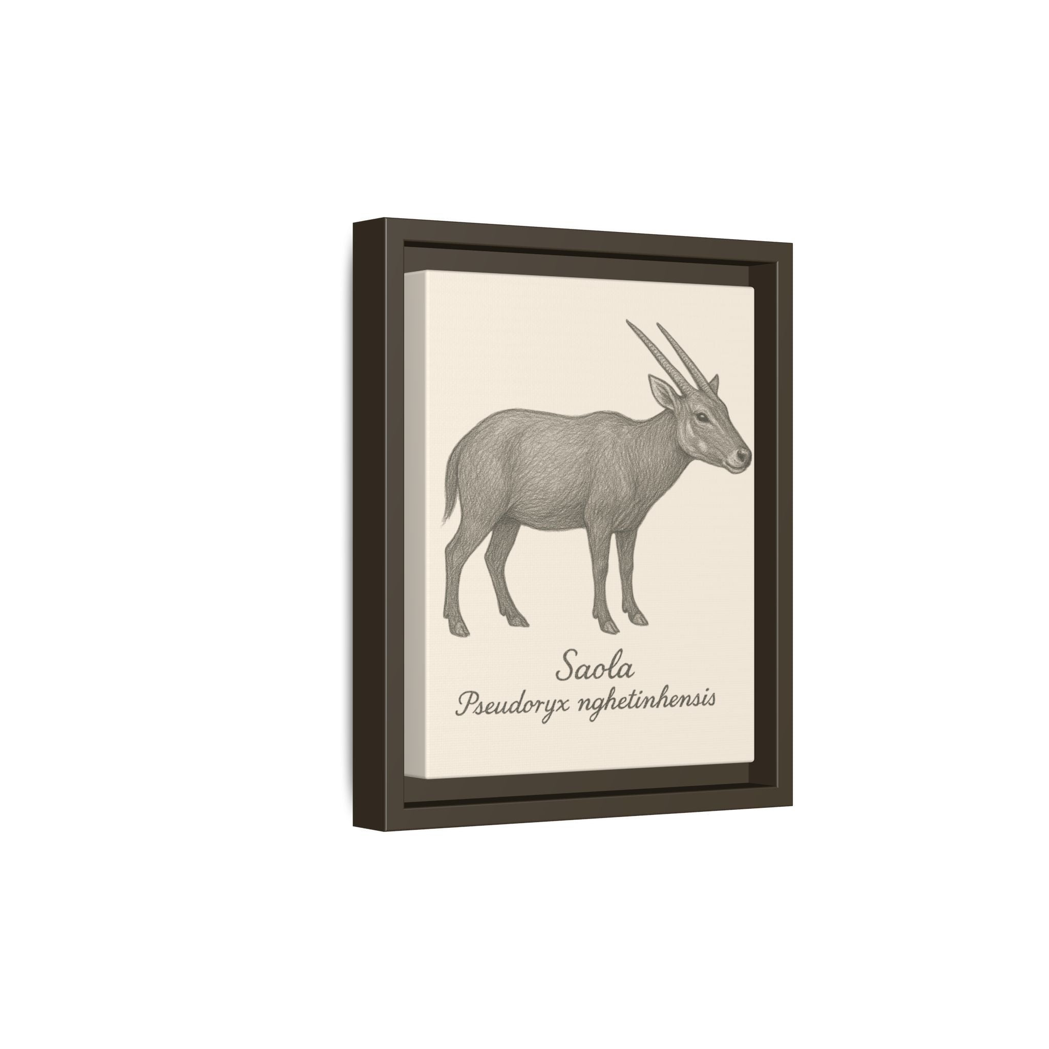 Framed artwork of a Saola on a white background