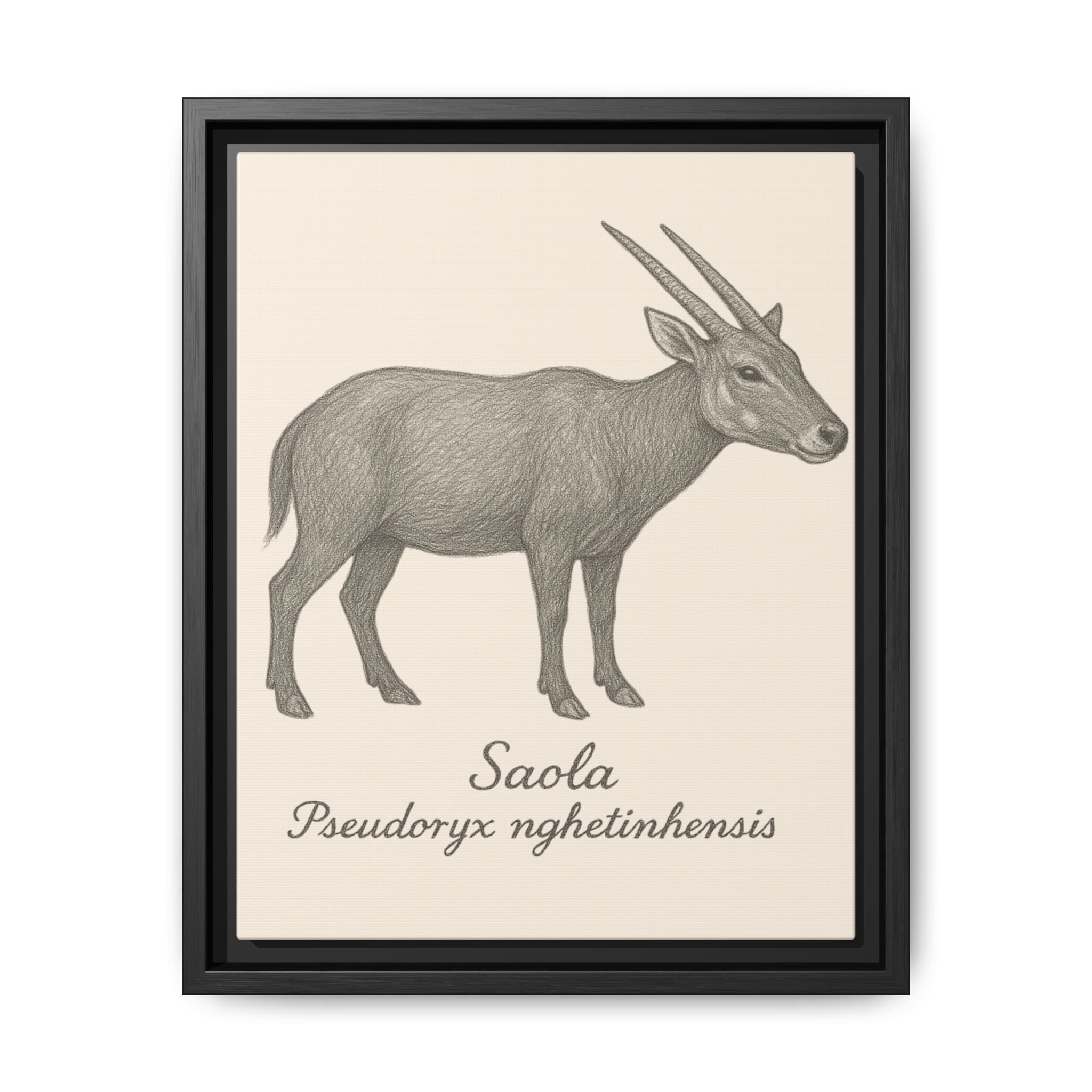 Framed illustration of a saola on a beige background