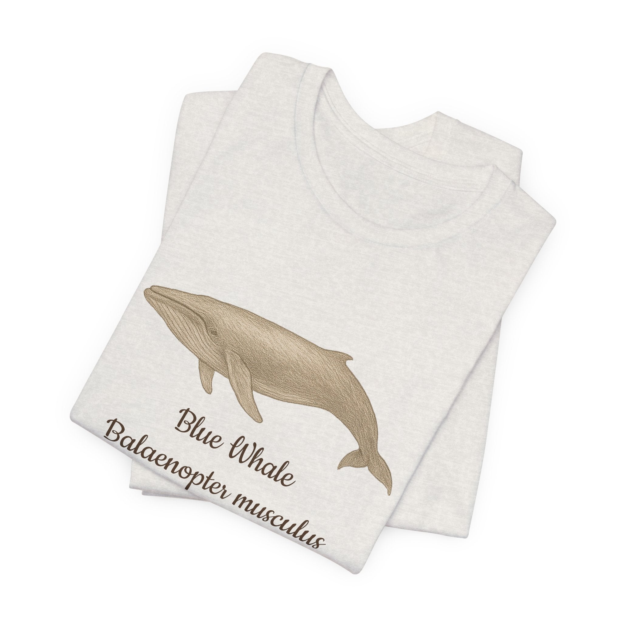Folded heather cement t-shirt with blue whale illustration and text on a white background