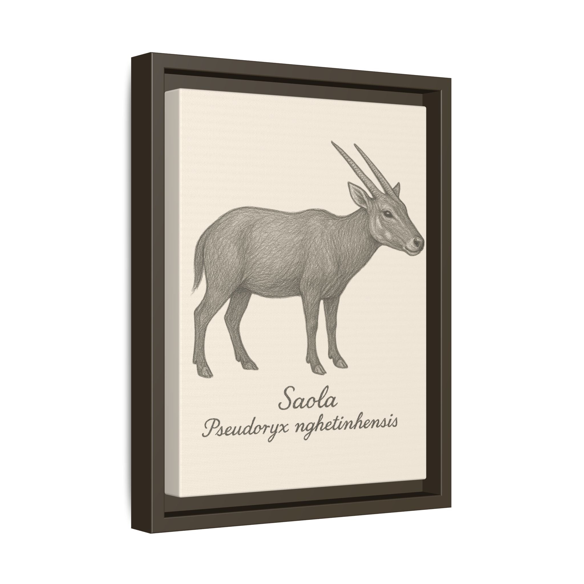 Framed artwork of a Saola with scientific name on a beige background