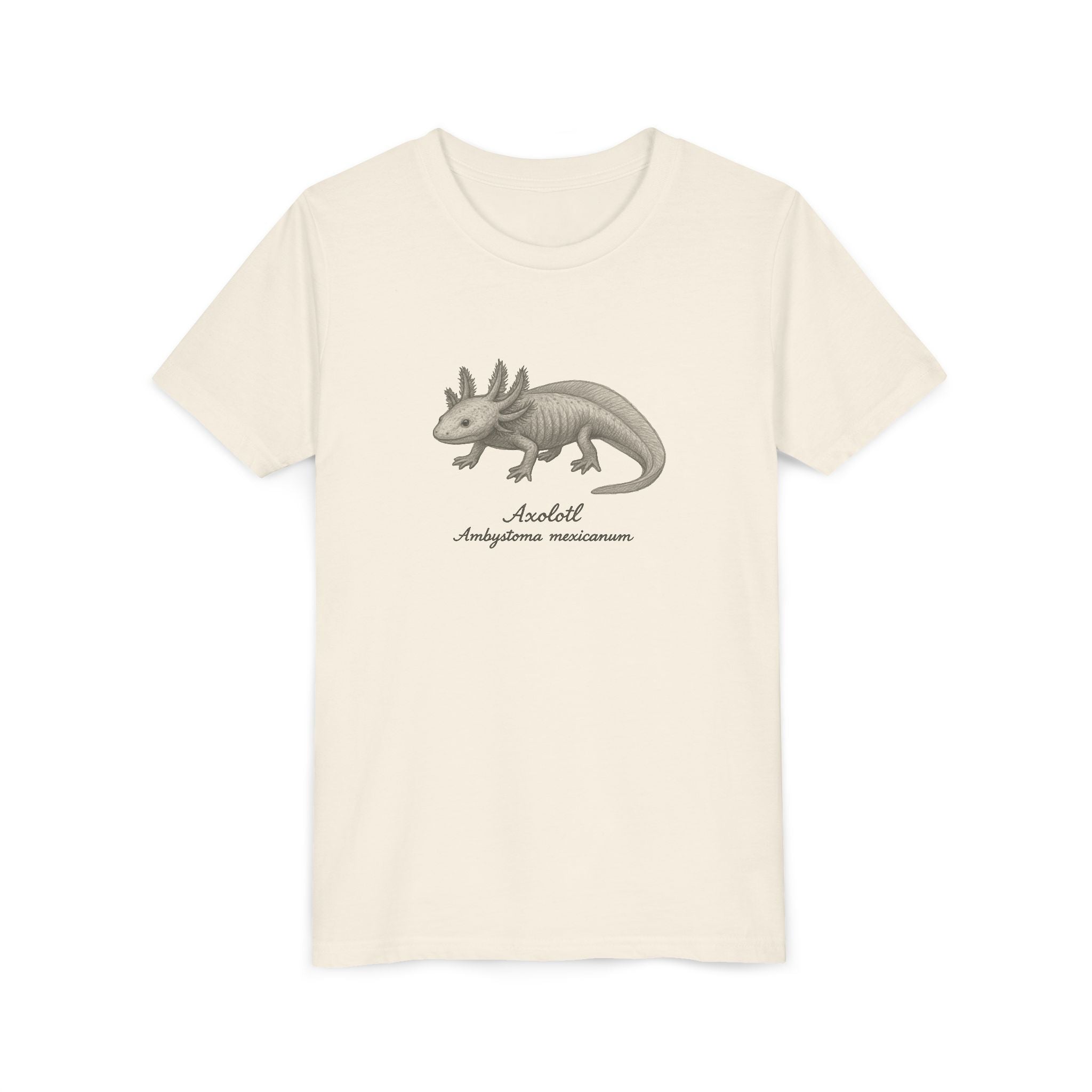 Beige kids t-shirt with a graphic of an axolotl and its scientific name on a white background