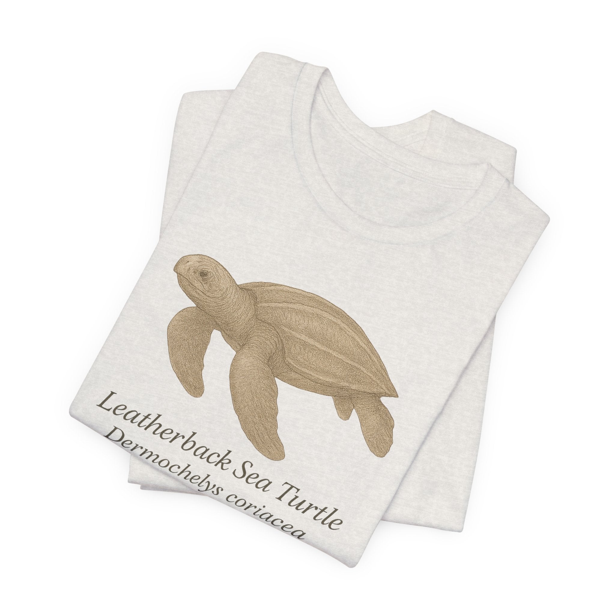 Heather cement t-shirt with a leatherback sea turtle graphic and text of scientific name on a white background