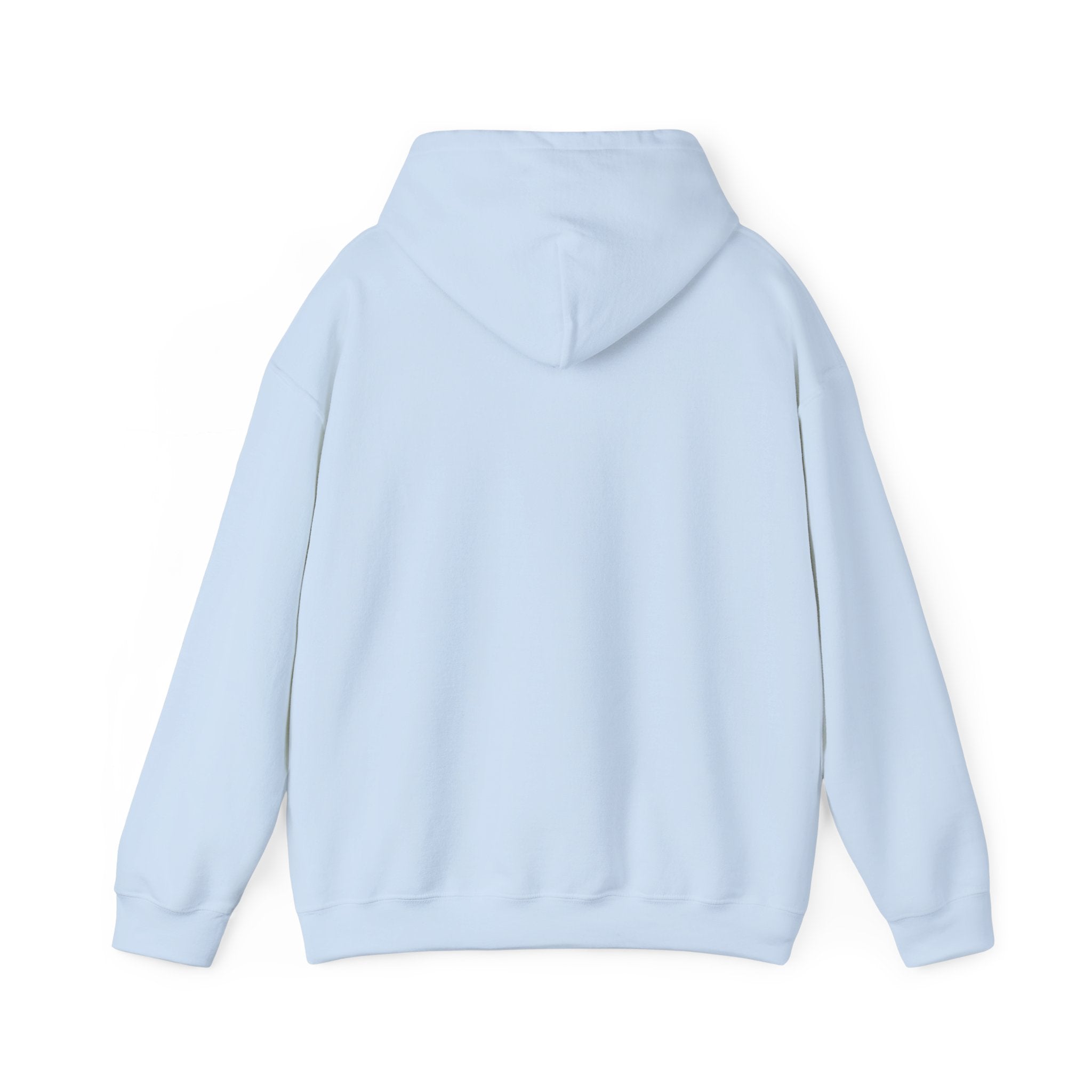 Light blue hoodie on a white background