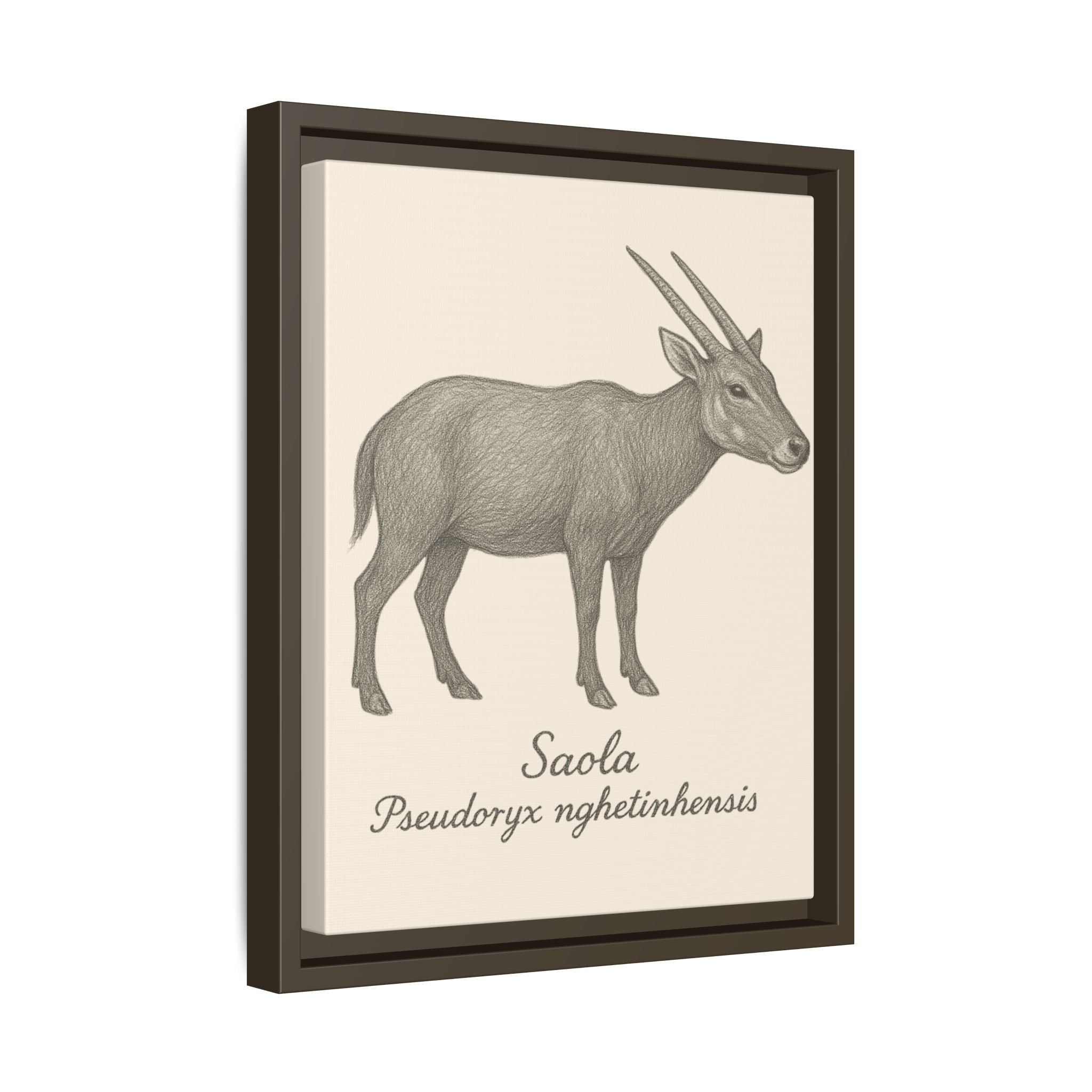 Framed artwork of a saola with scientific name on a beige background