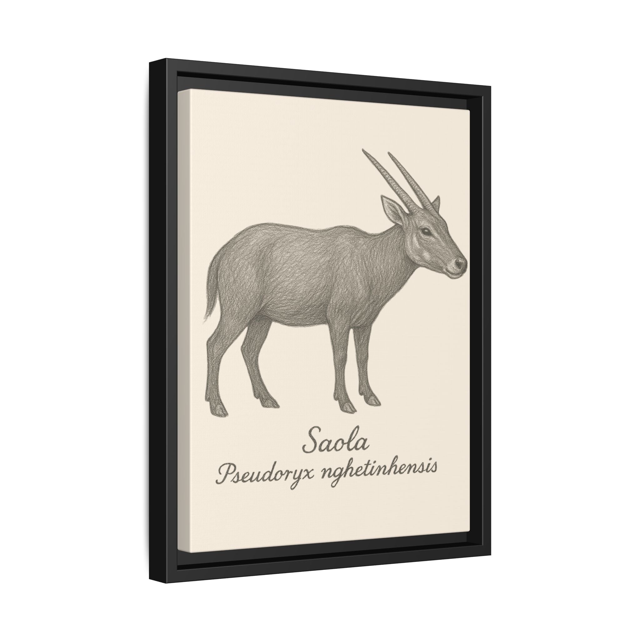 Framed artwork of a saola illustration on a beige background