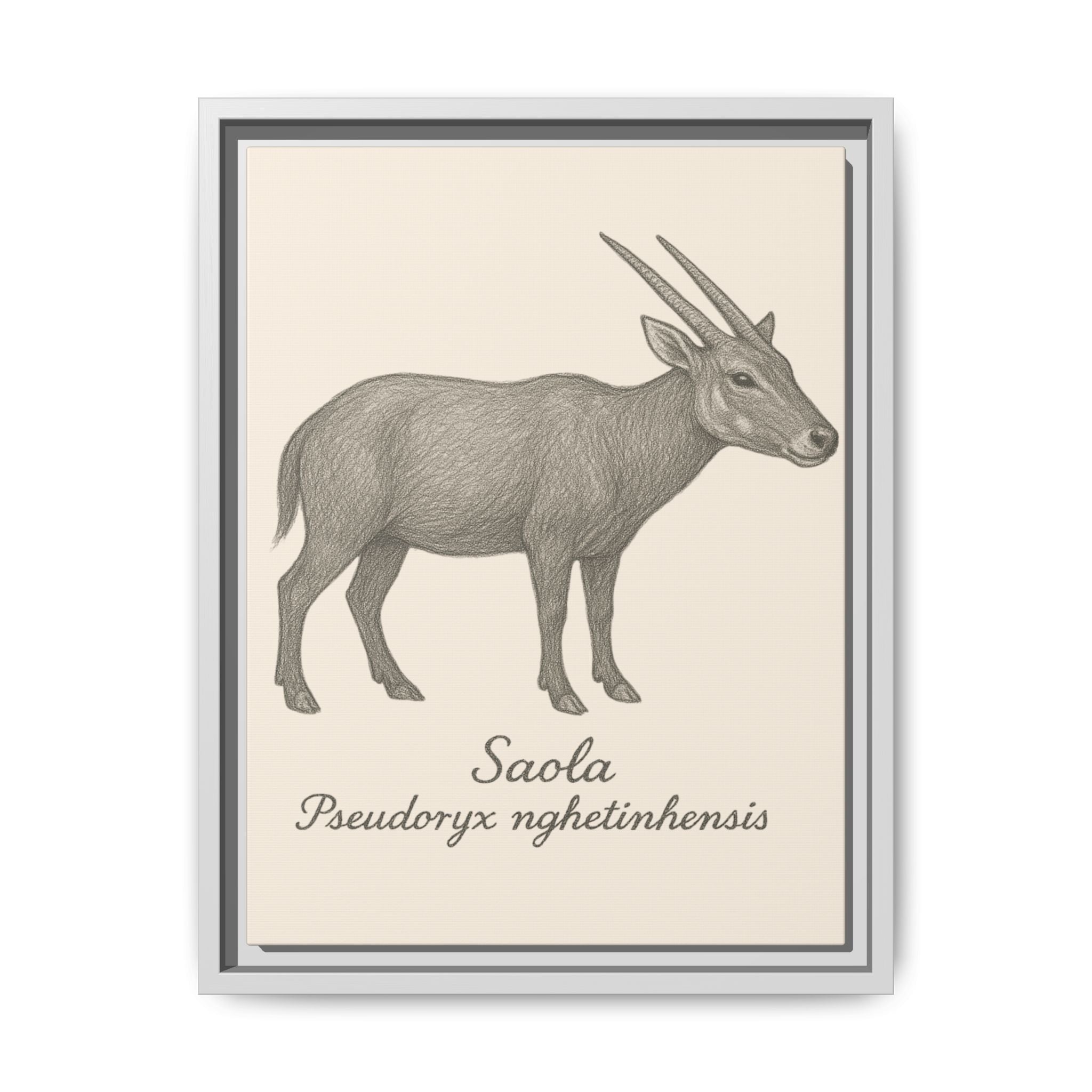Framed illustration of a saola on a beige background
